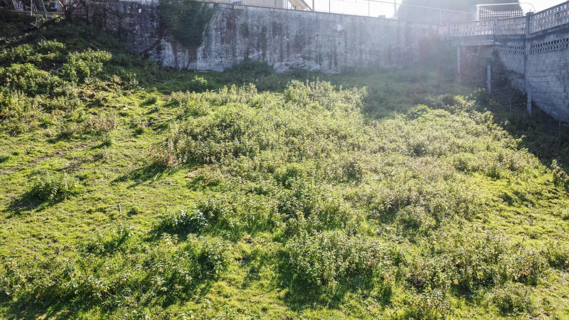 Fincas y solares-Venta-Pravia-2202117-Foto-26