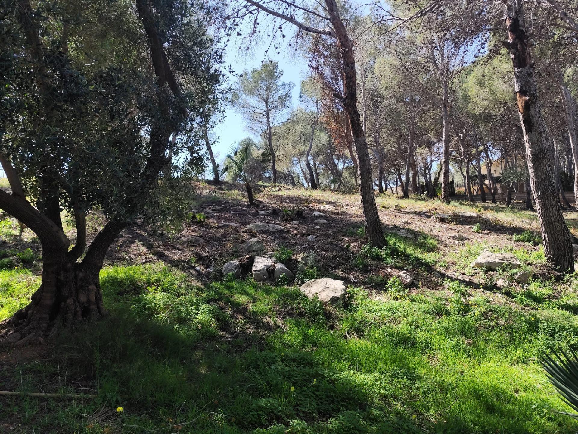 Fincas y solares-Venta-2114534