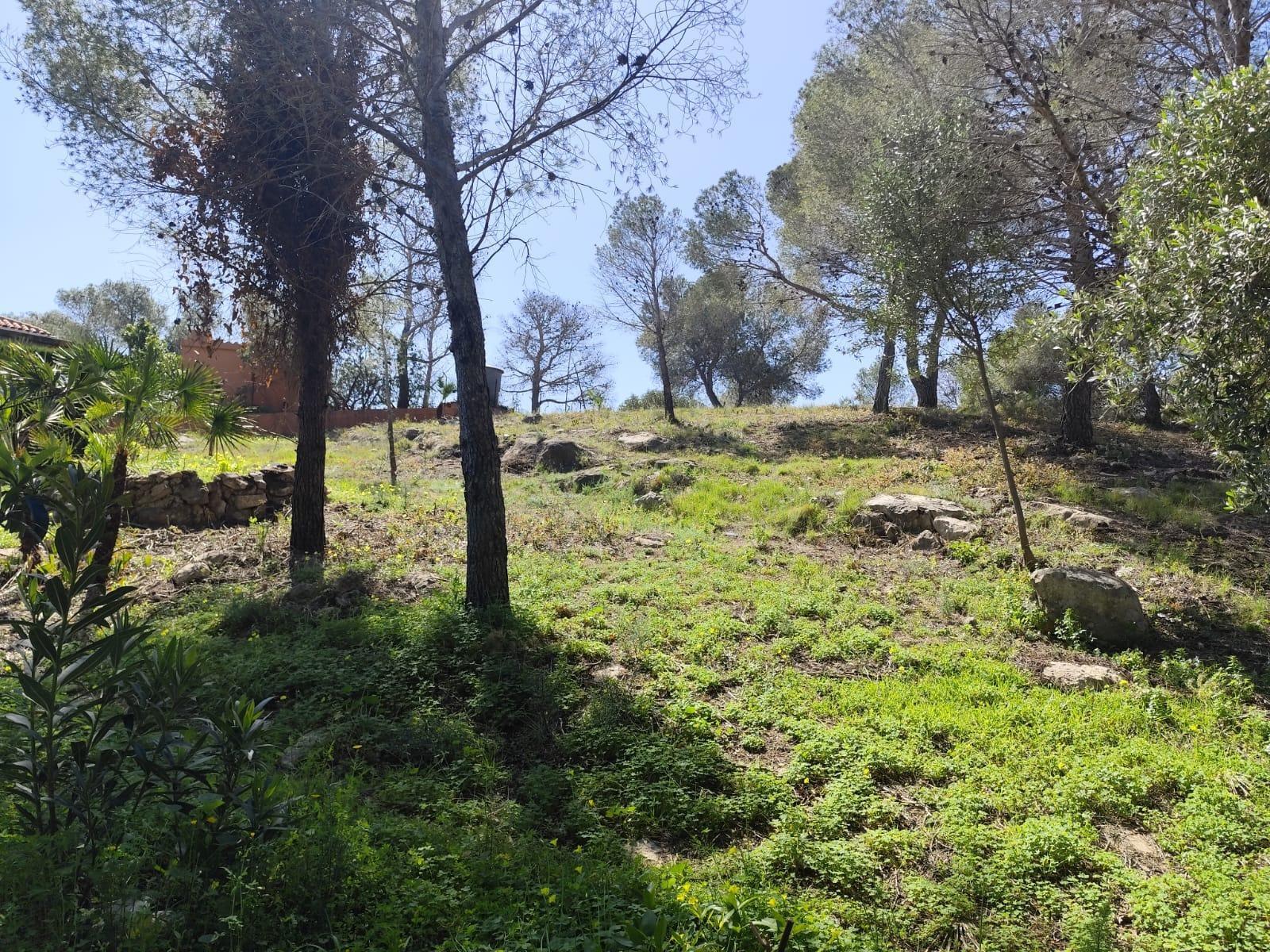 Fincas y solares-Venta-Picassent-2114534-Foto-3