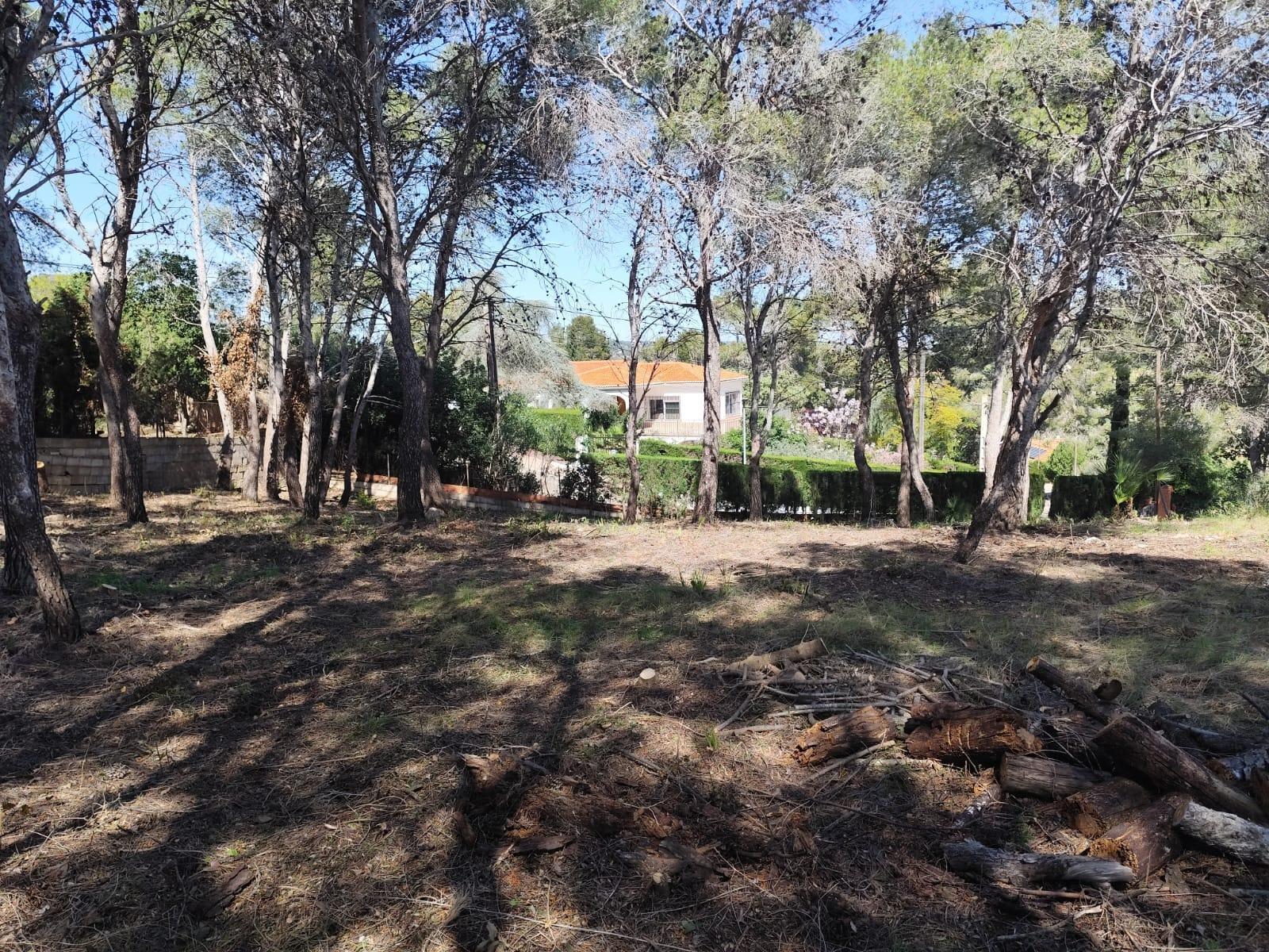 Fincas y solares-Venta-Picassent-2114534-Foto-4