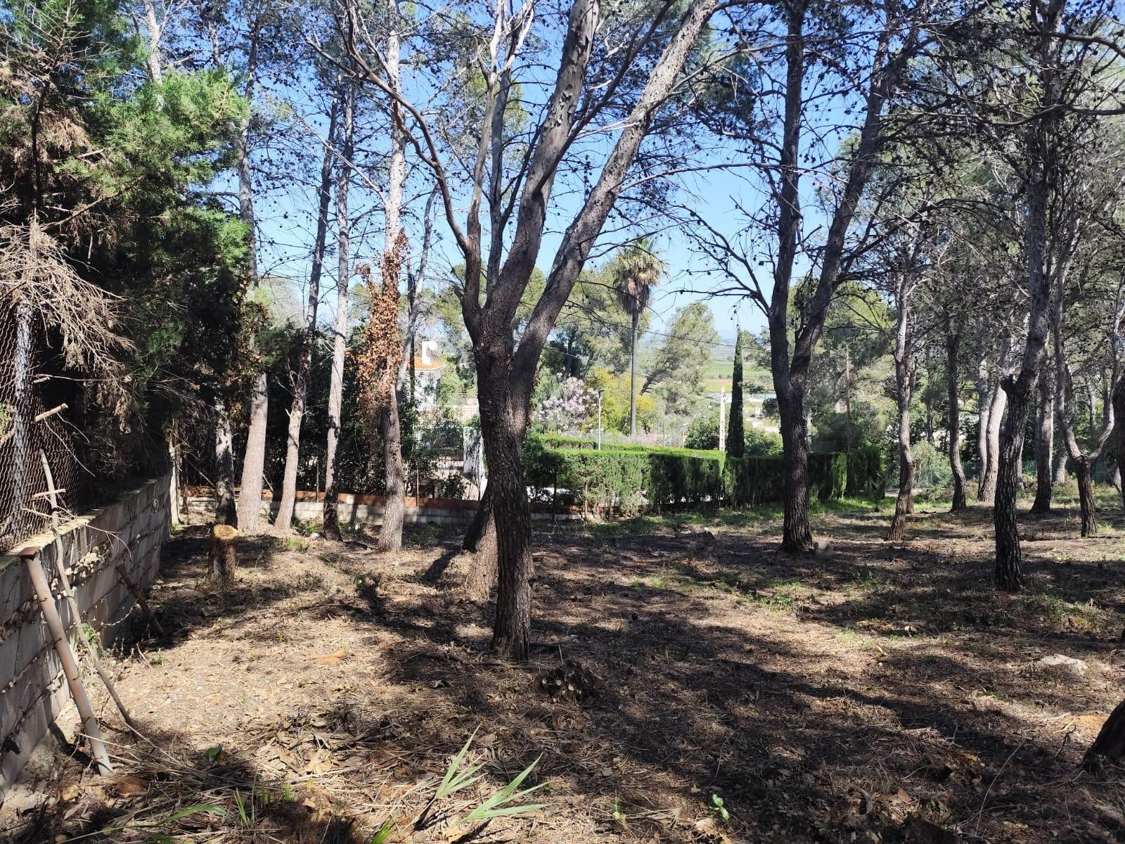 Fincas y solares-Venta-Picassent-2114534-Foto-9