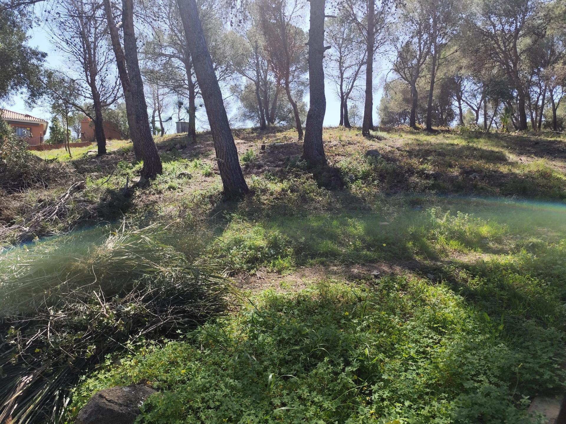 Fincas y solares-Venta-Picassent-2114534-Foto-13