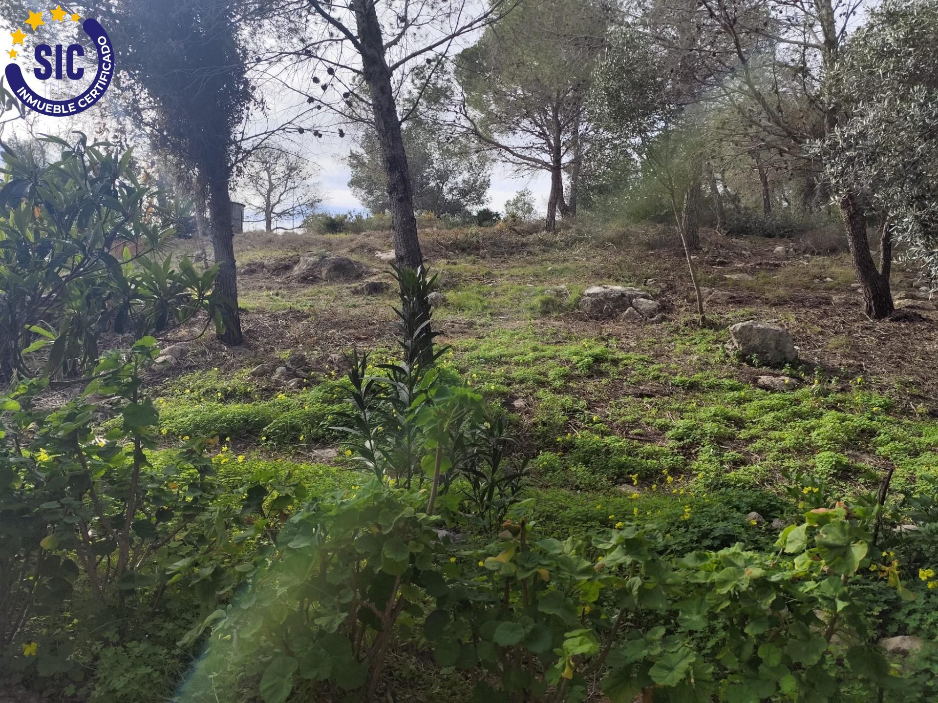 Fincas y solares-Venta-Picassent-2114534-Foto-15