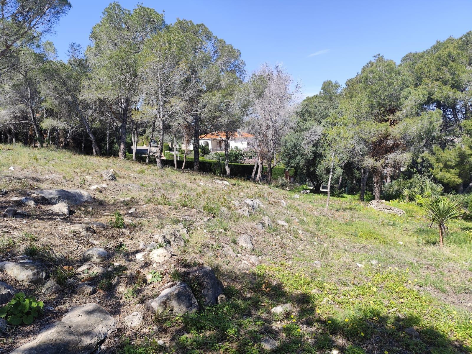 Fincas y solares-Venta-Picassent-2114534-Foto-14