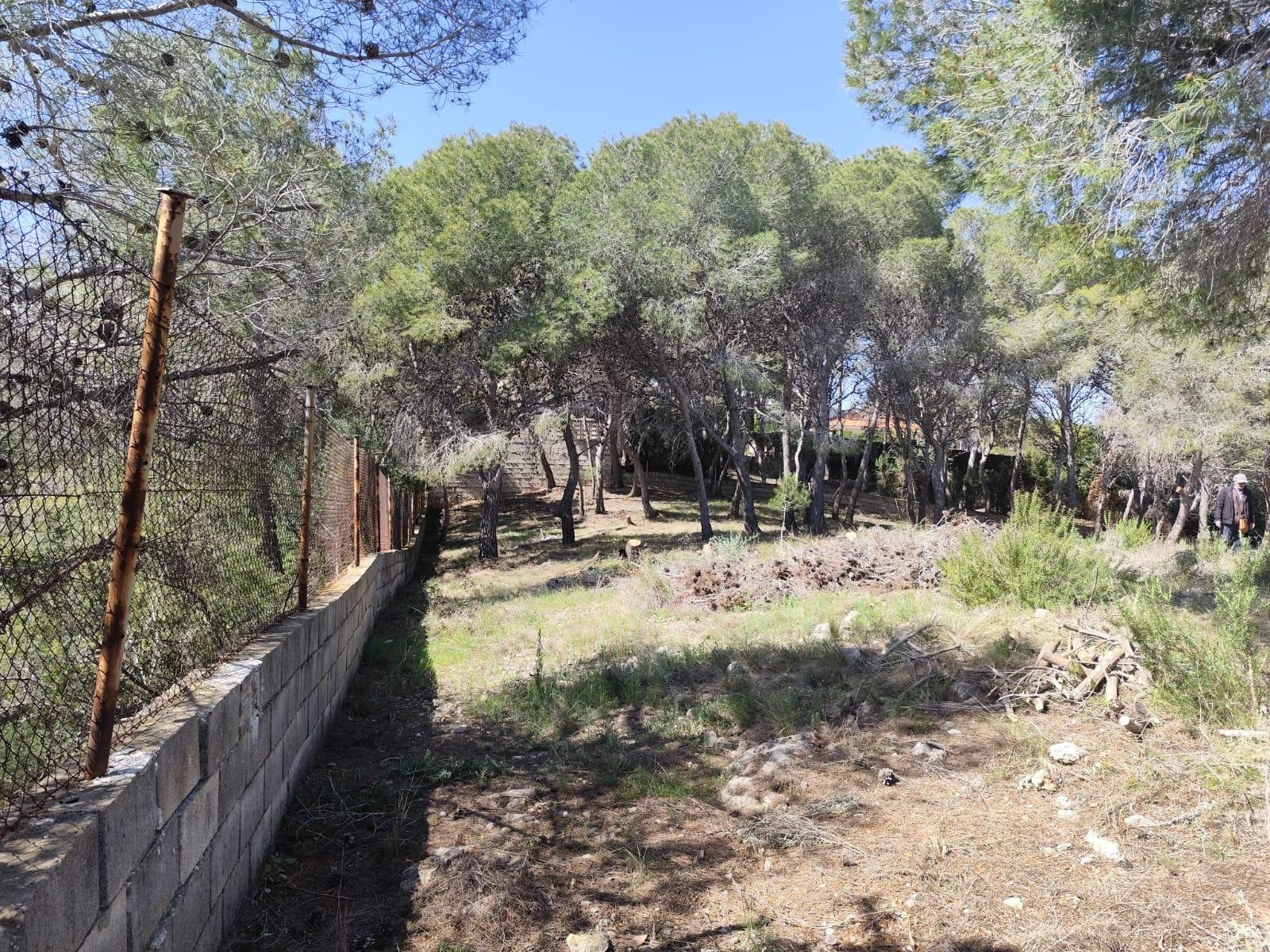 Fincas y solares-Venta-Picassent-2114534-Foto-16