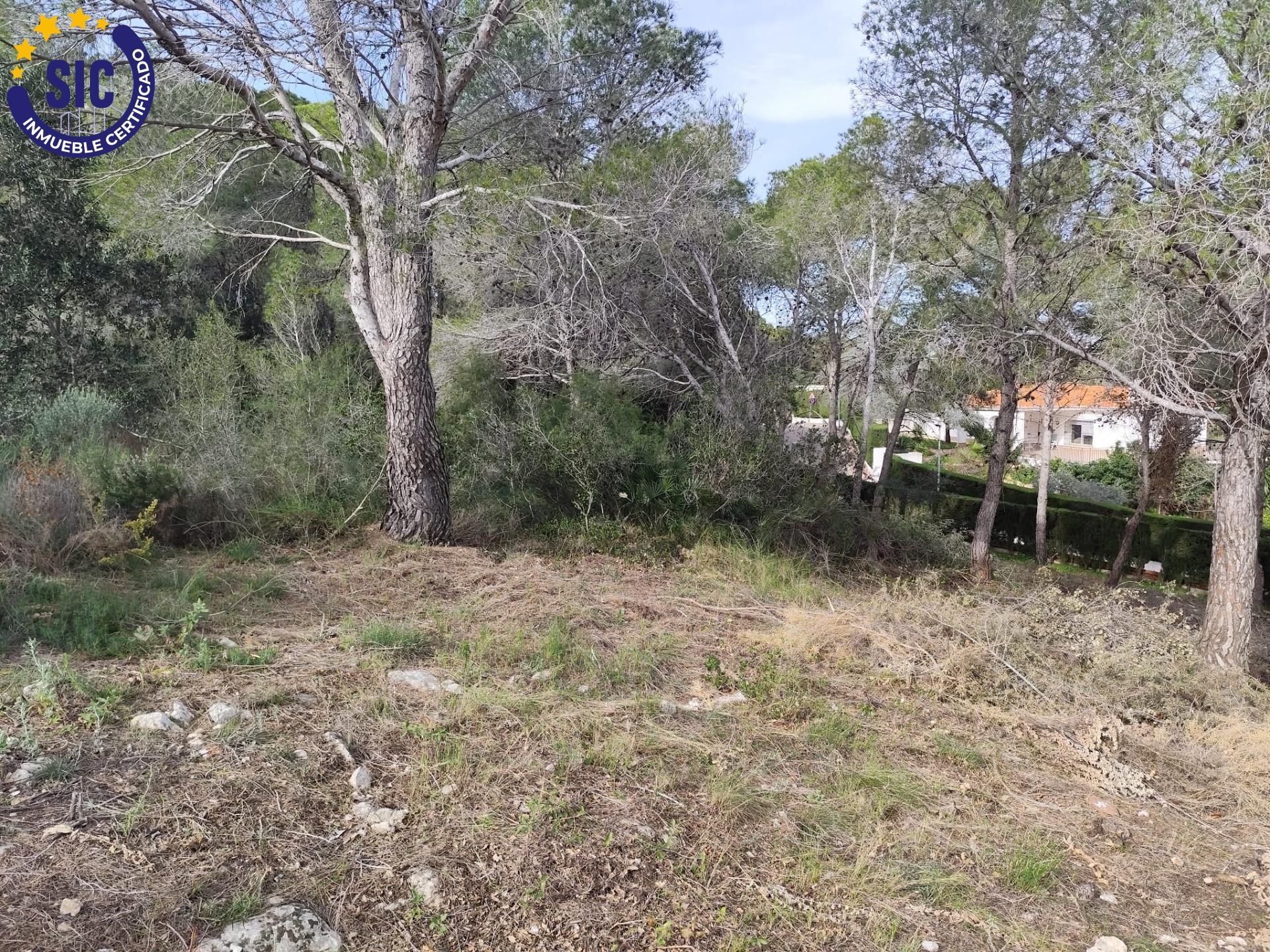 Fincas y solares-Venta-Picassent-2114534-Foto-23