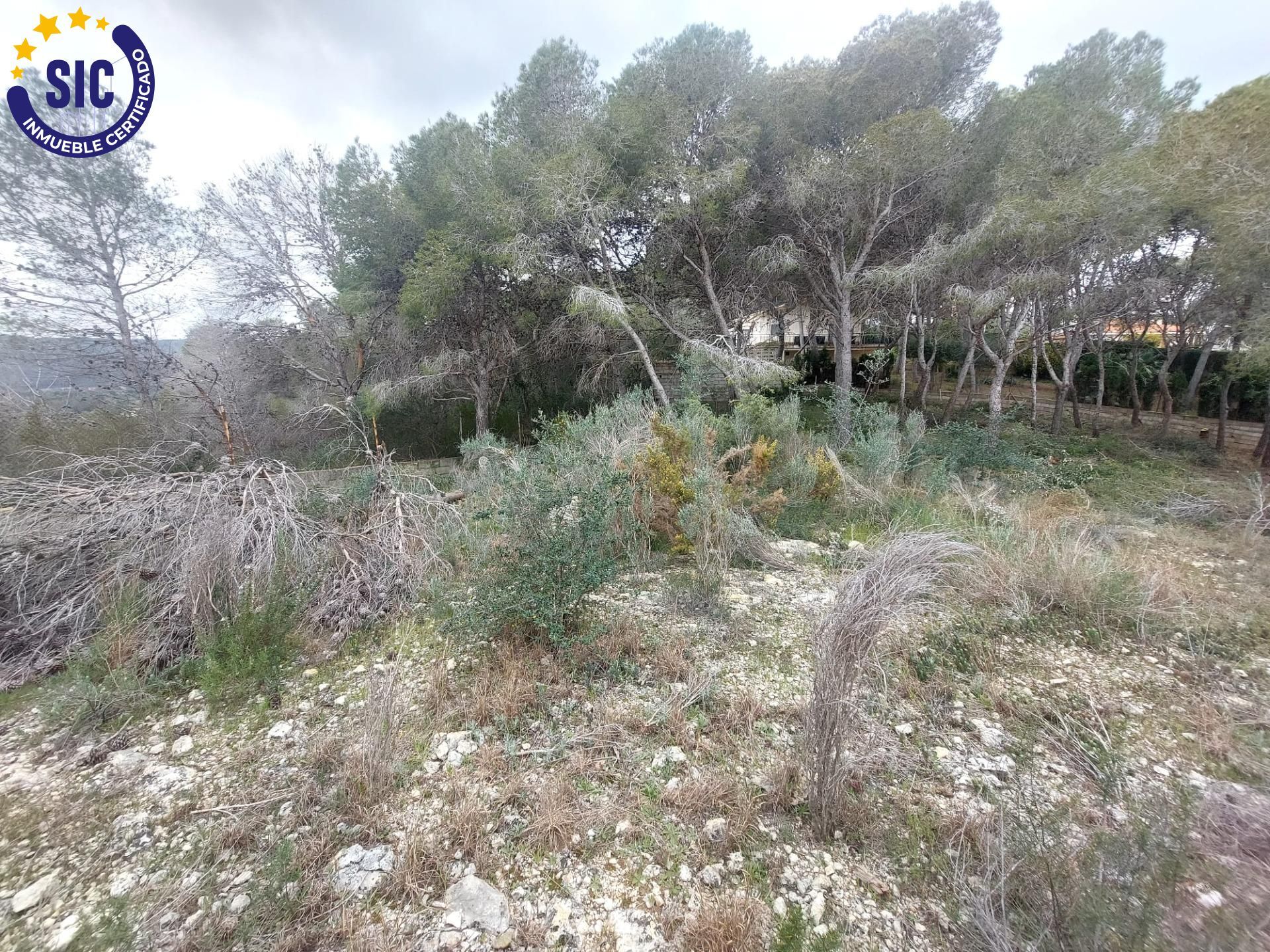 Fincas y solares-Venta-Picassent-2114534-Foto-26