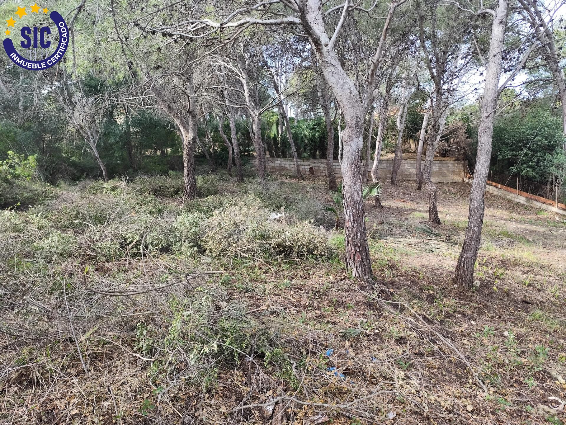 Fincas y solares-Venta-Picassent-2114534-Foto-29