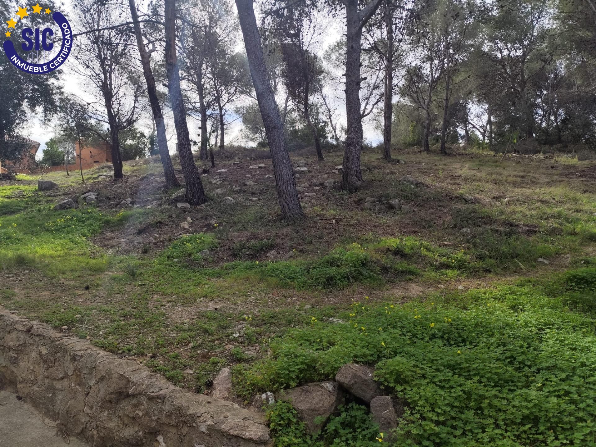 Fincas y solares-Venta-Picassent-2114534-Foto-28