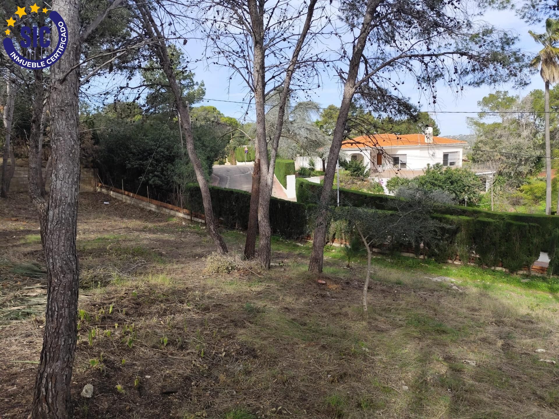 Fincas y solares-Venta-Picassent-2114534-Foto-31