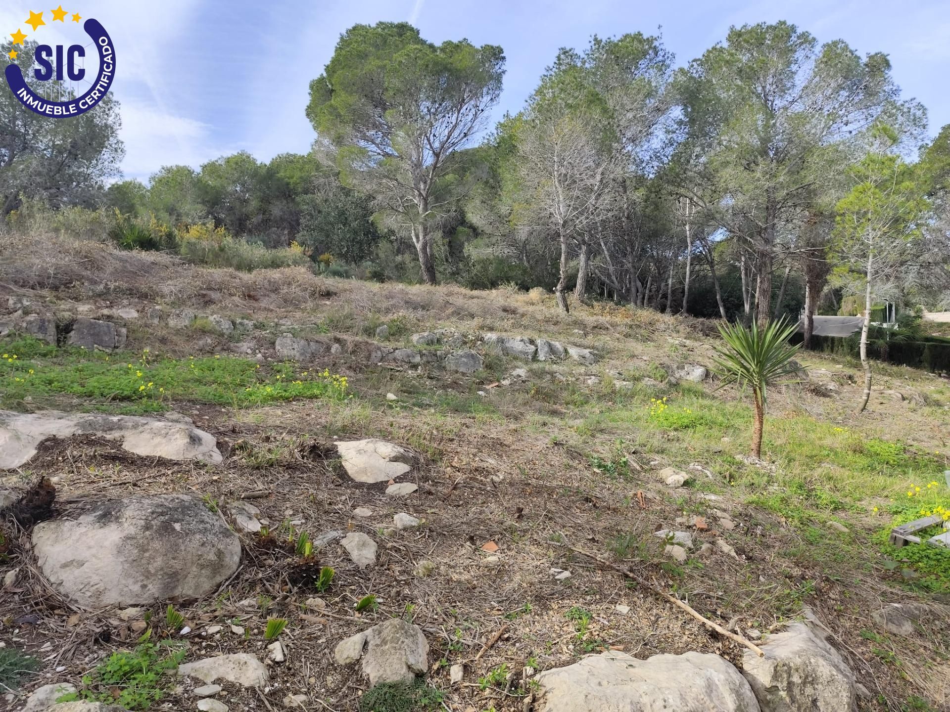 Fincas y solares-Venta-Picassent-2114534-Foto-33