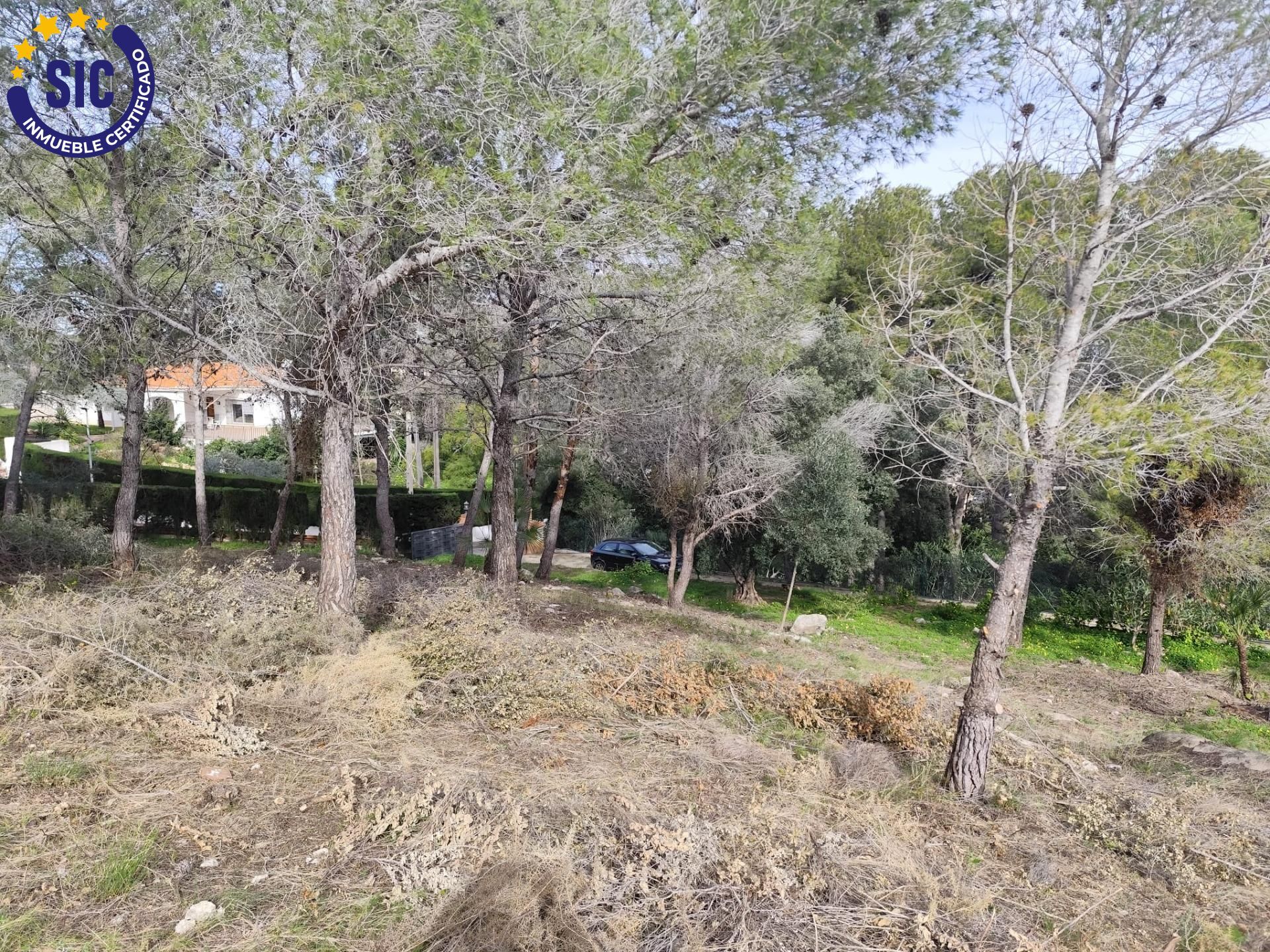 Fincas y solares-Venta-Picassent-2114534-Foto-35