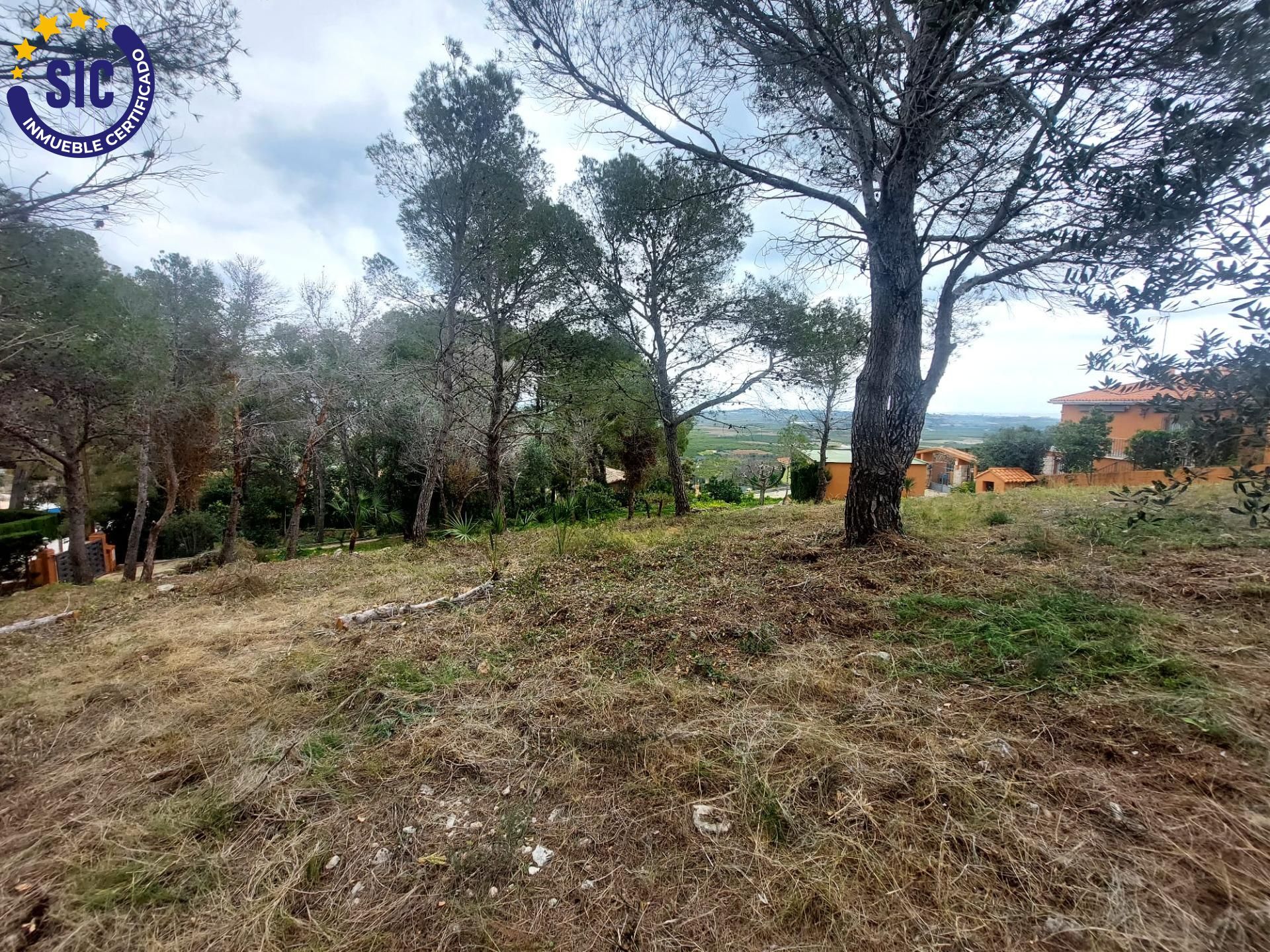 Fincas y solares-Venta-Picassent-2114534-Foto-36