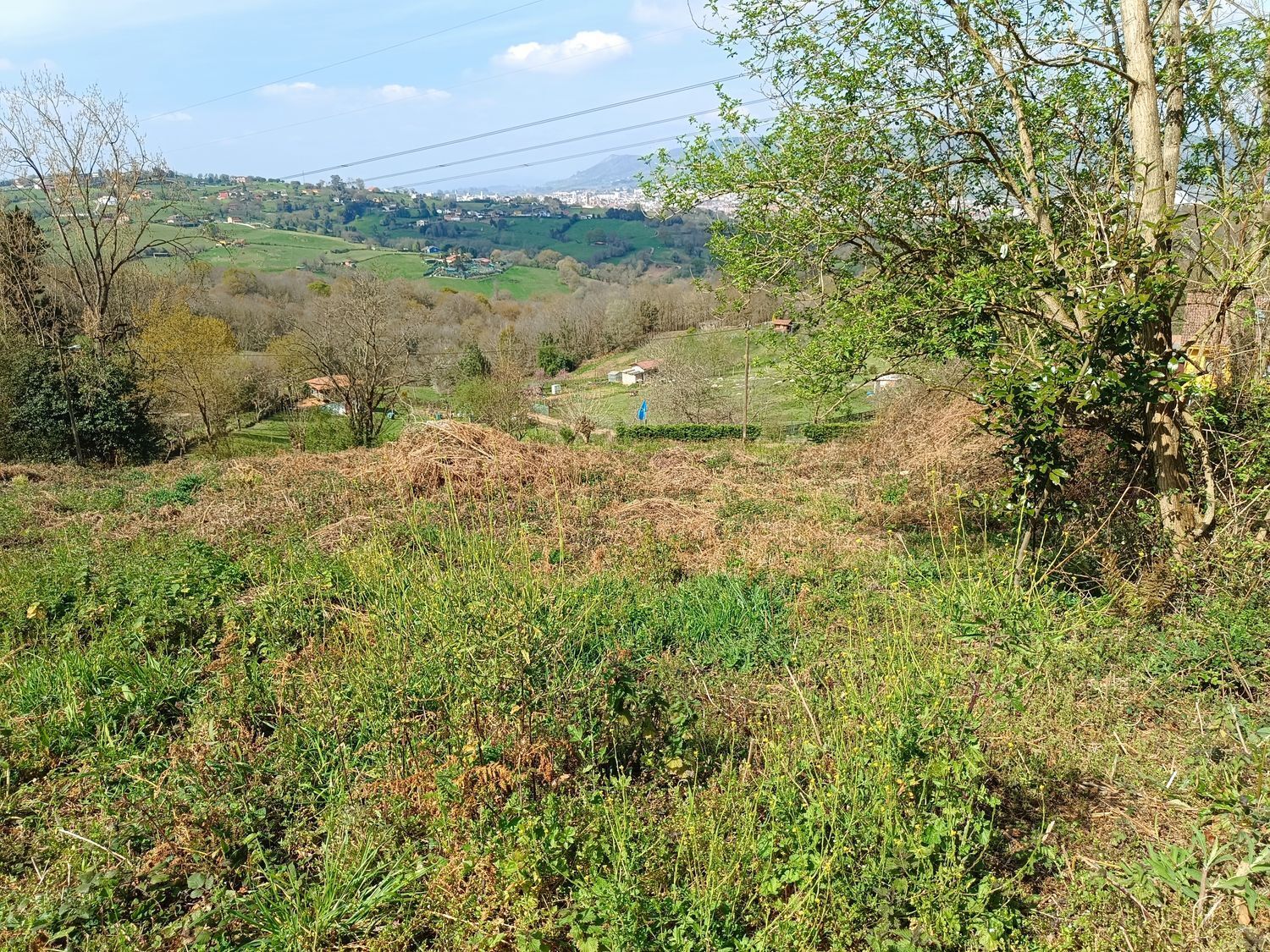 Fincas y solares-Venta-Oviedo-2202536