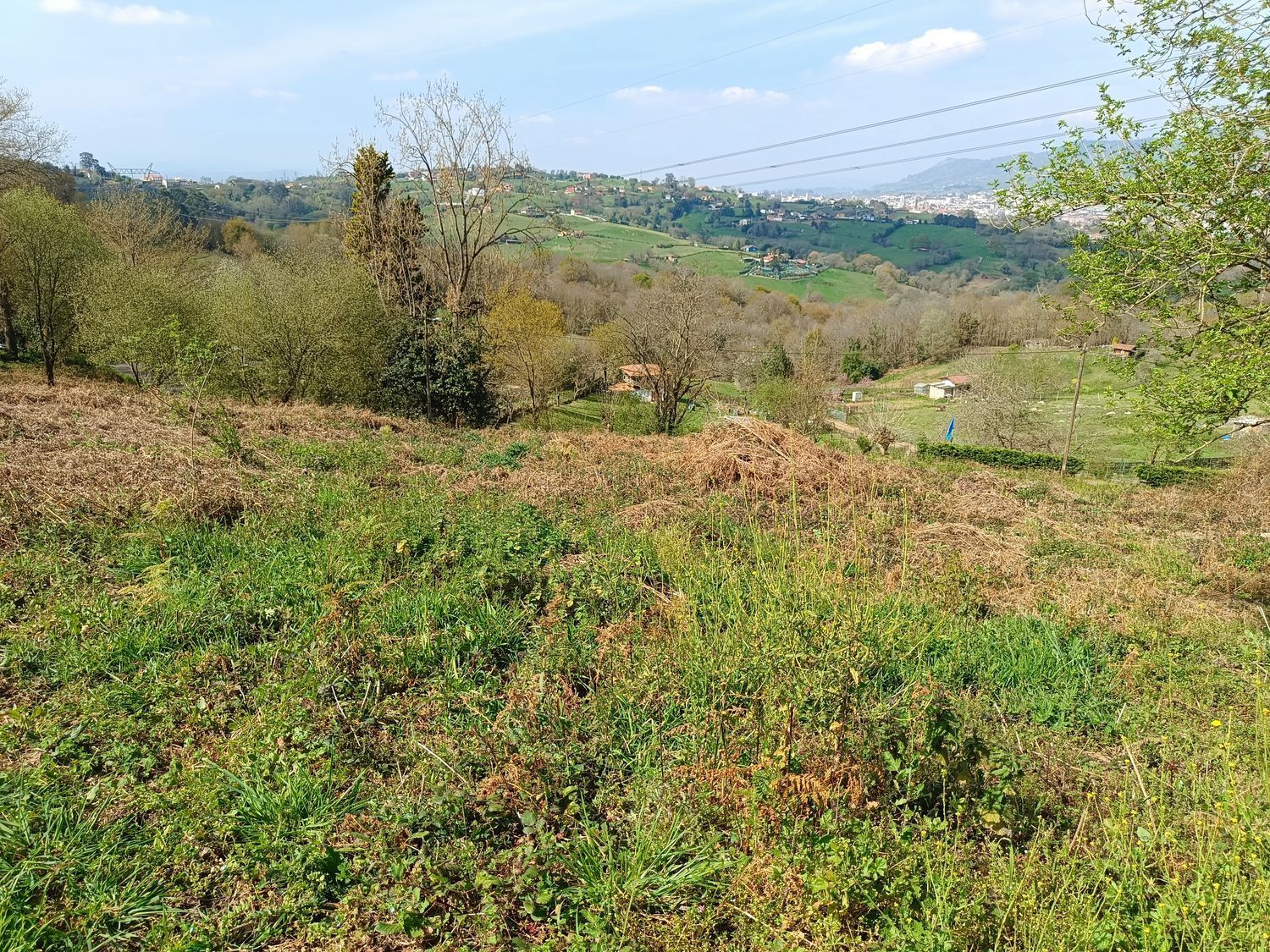 Fincas y solares-Venta-Oviedo-2202536-Foto-3