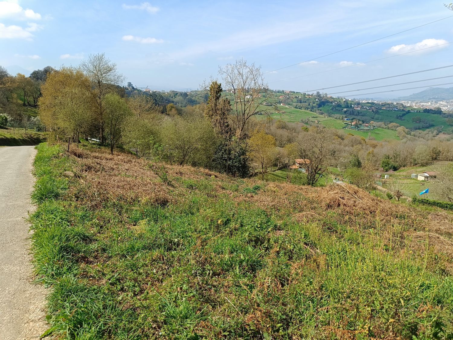 Fincas y solares-Venta-Oviedo-2202536-Foto-5