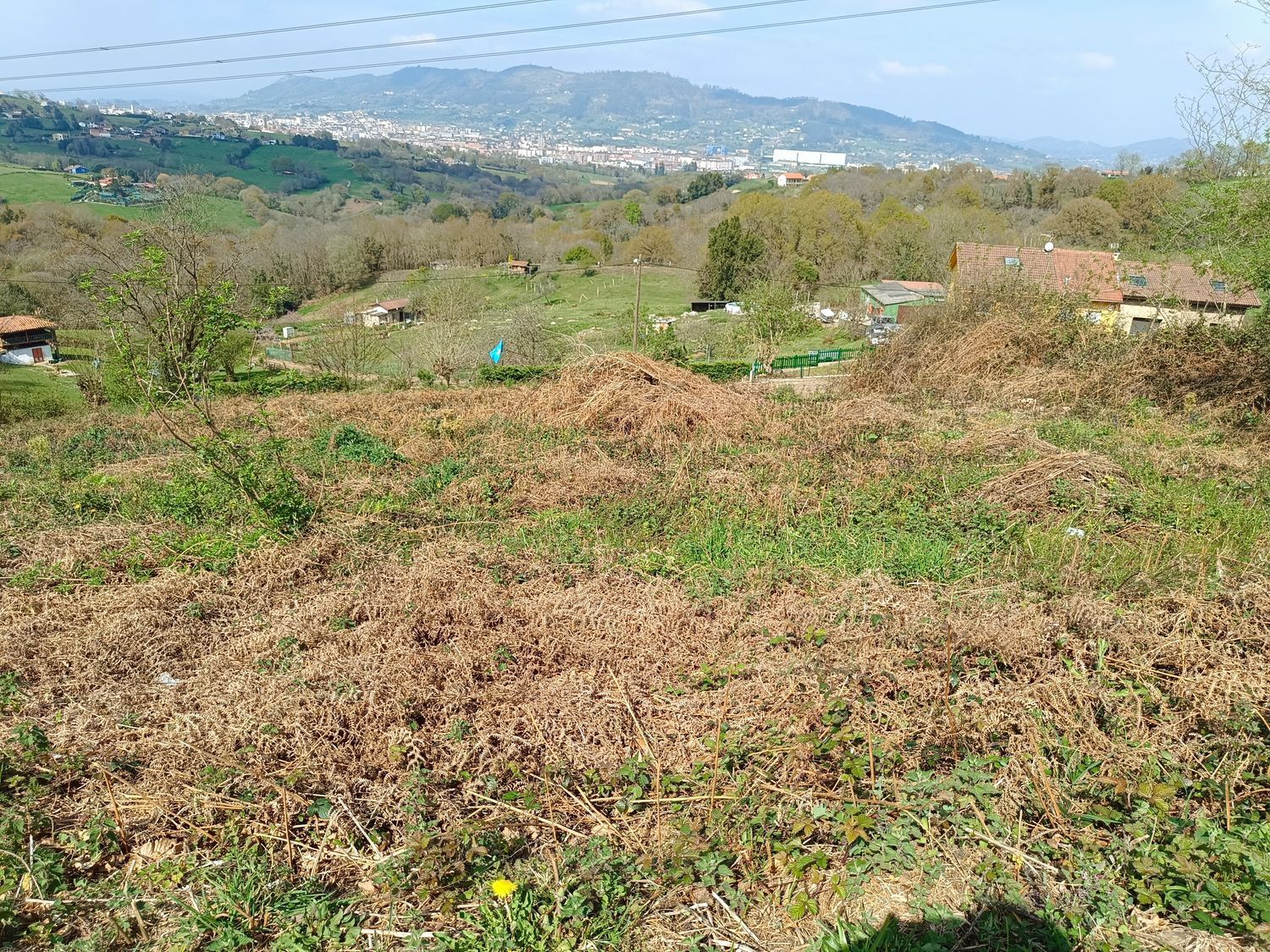 Fincas y solares-Venta-Oviedo-2202536-Foto-6