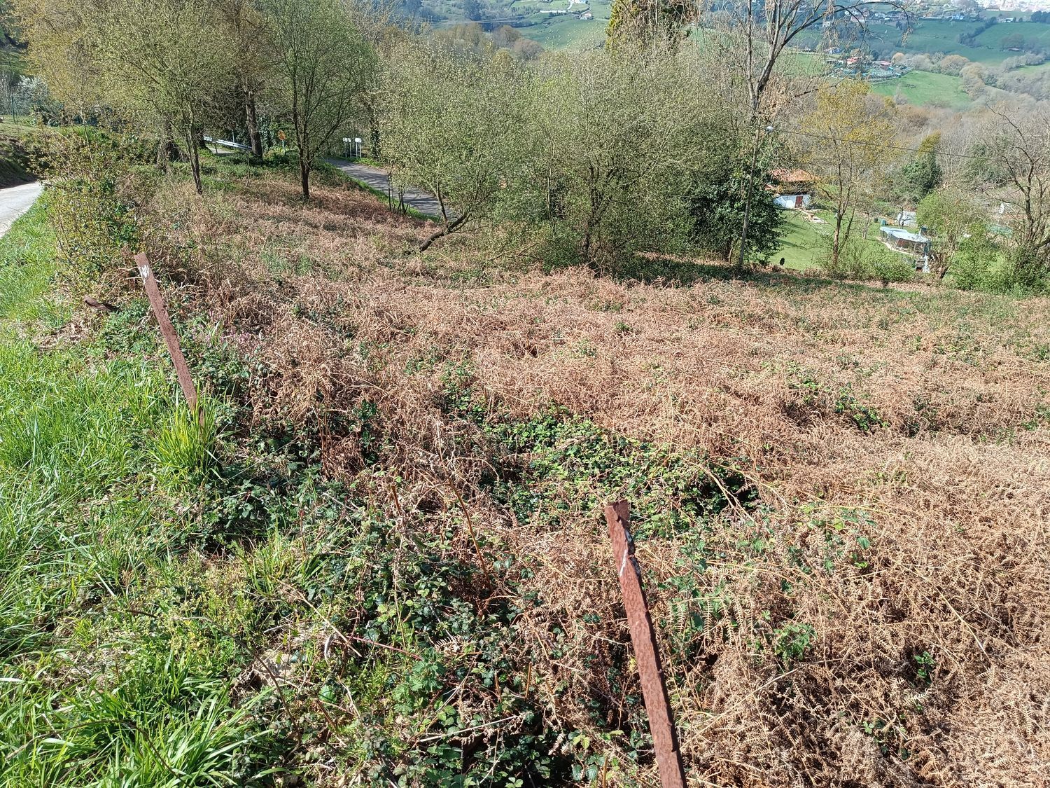 Fincas y solares-Venta-Oviedo-2202536-Foto-9