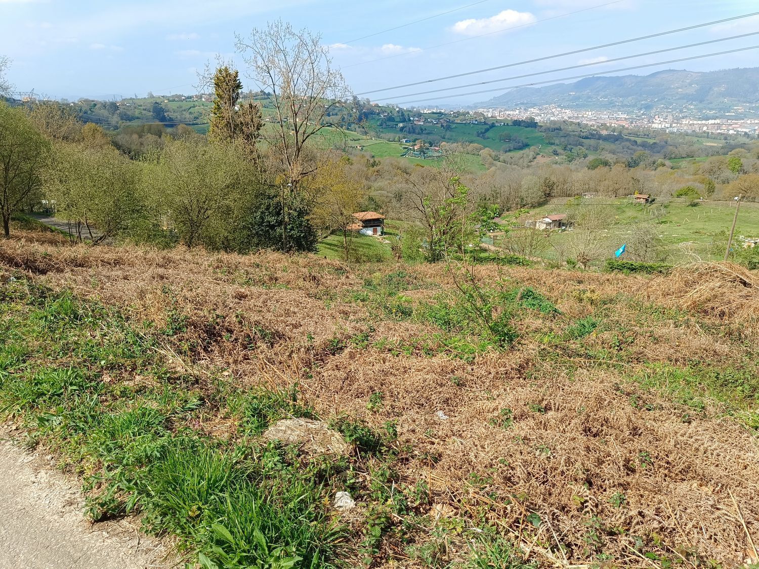 Fincas y solares-Venta-Oviedo-2202536-Foto-7