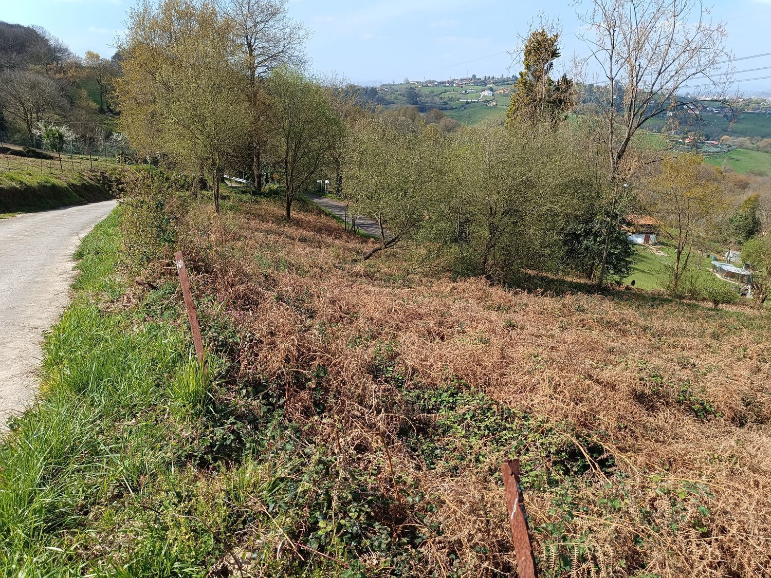 Fincas y solares-Venta-Oviedo-2202536-Foto-8