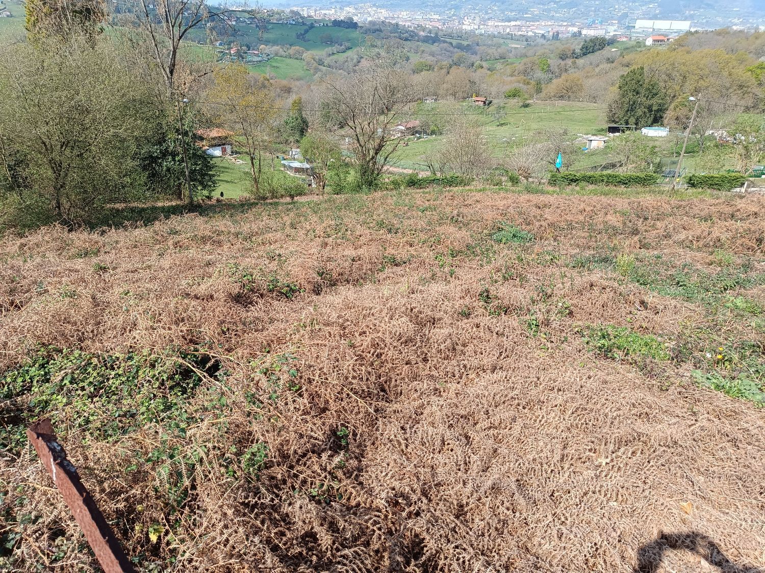 Fincas y solares-Venta-Oviedo-2202536-Foto-11