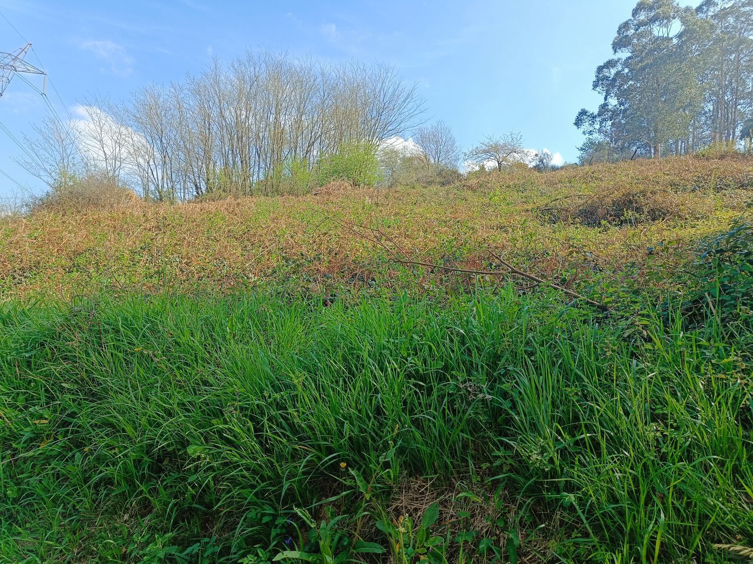 Fincas y solares-Venta-Oviedo-2202536-Foto-14