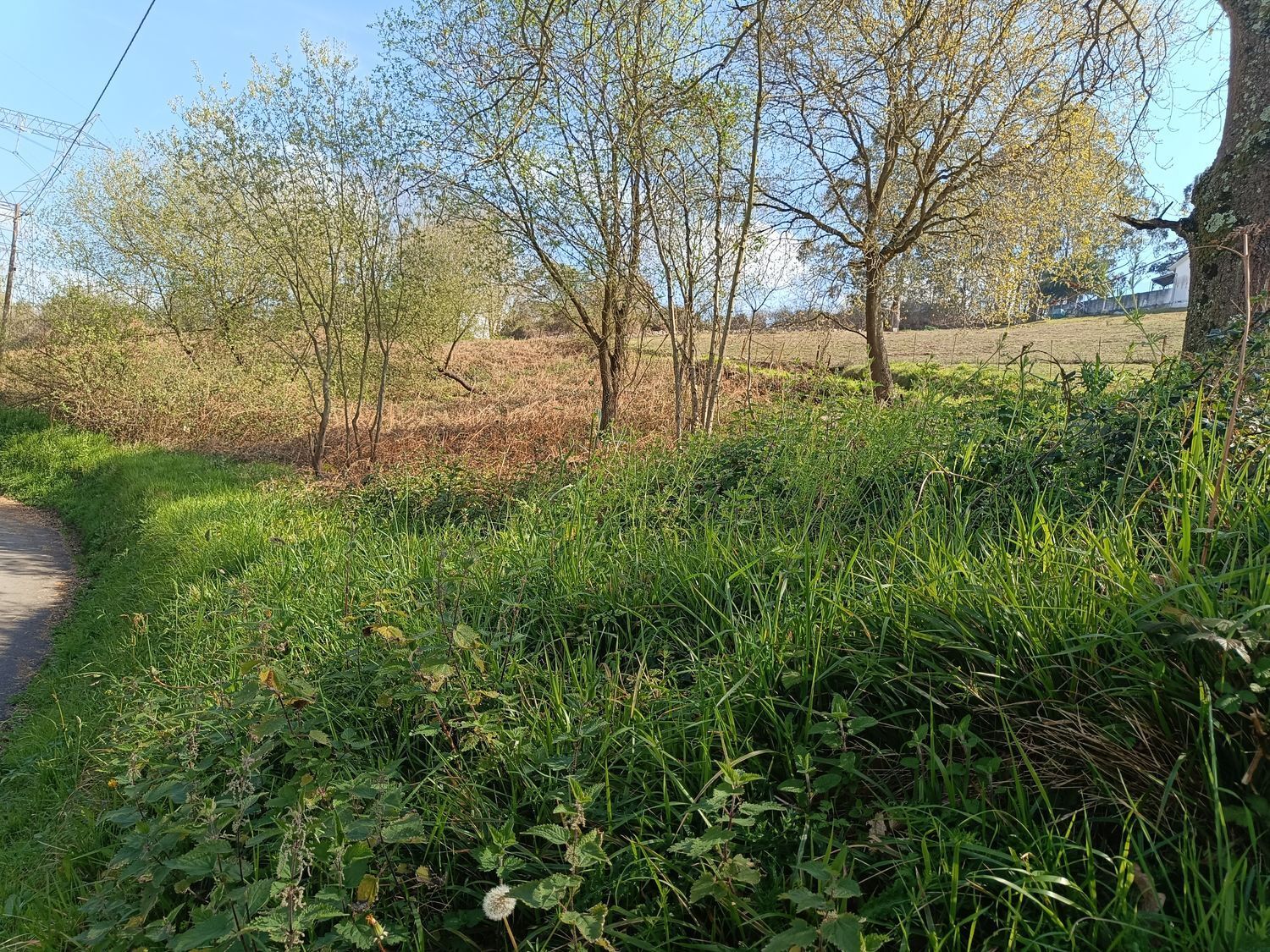 Fincas y solares-Venta-Oviedo-2202536-Foto-12