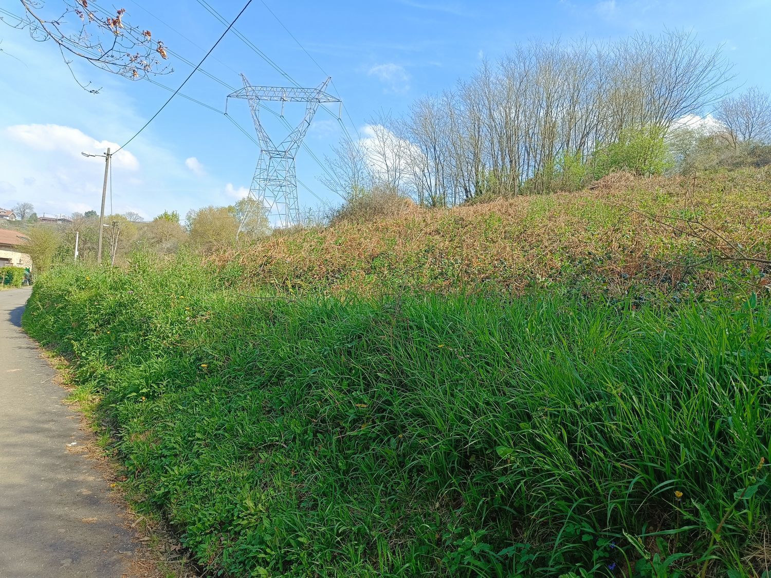 Fincas y solares-Venta-Oviedo-2202536-Foto-13