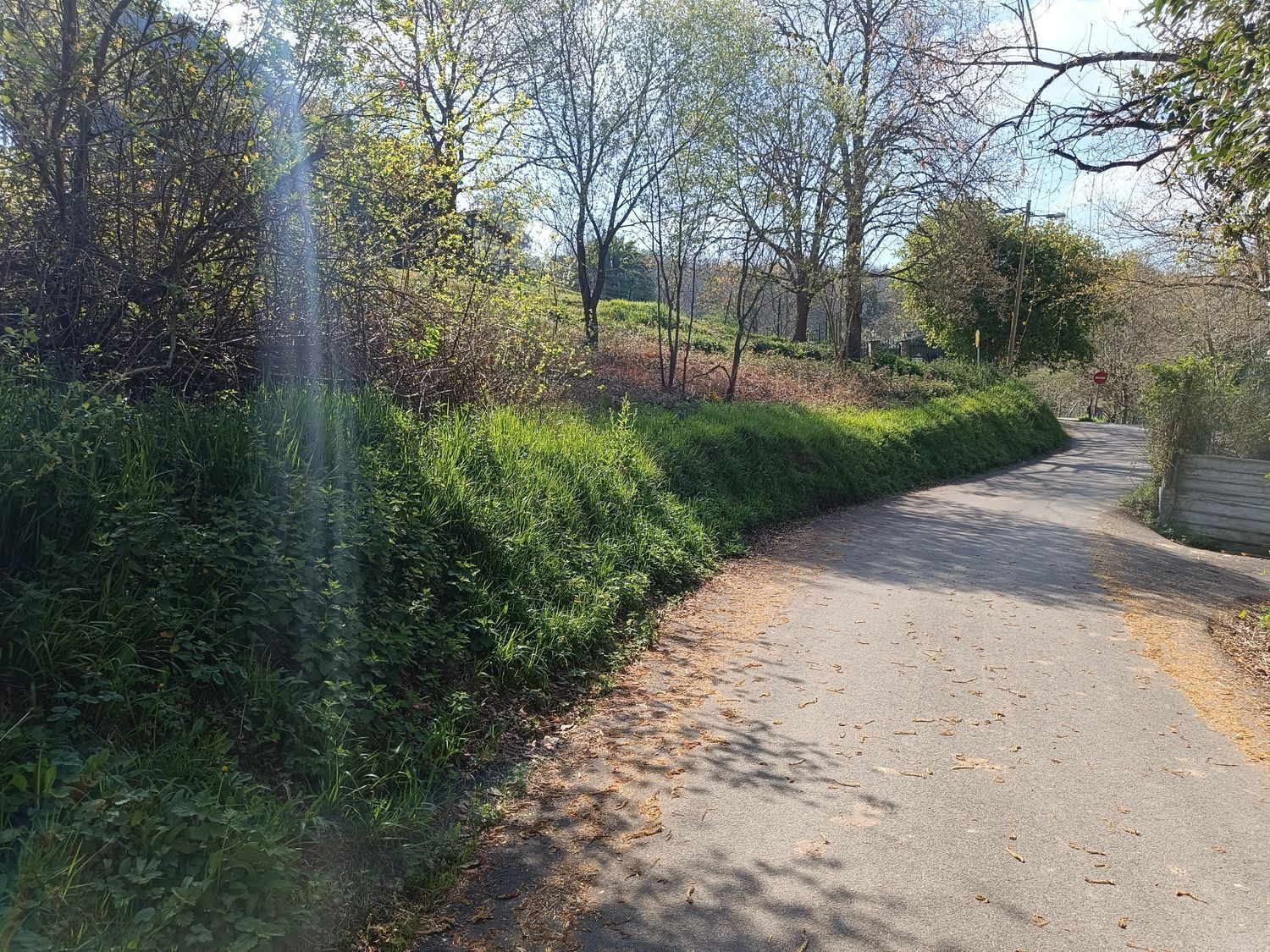 Fincas y solares-Venta-Oviedo-2202536-Foto-16