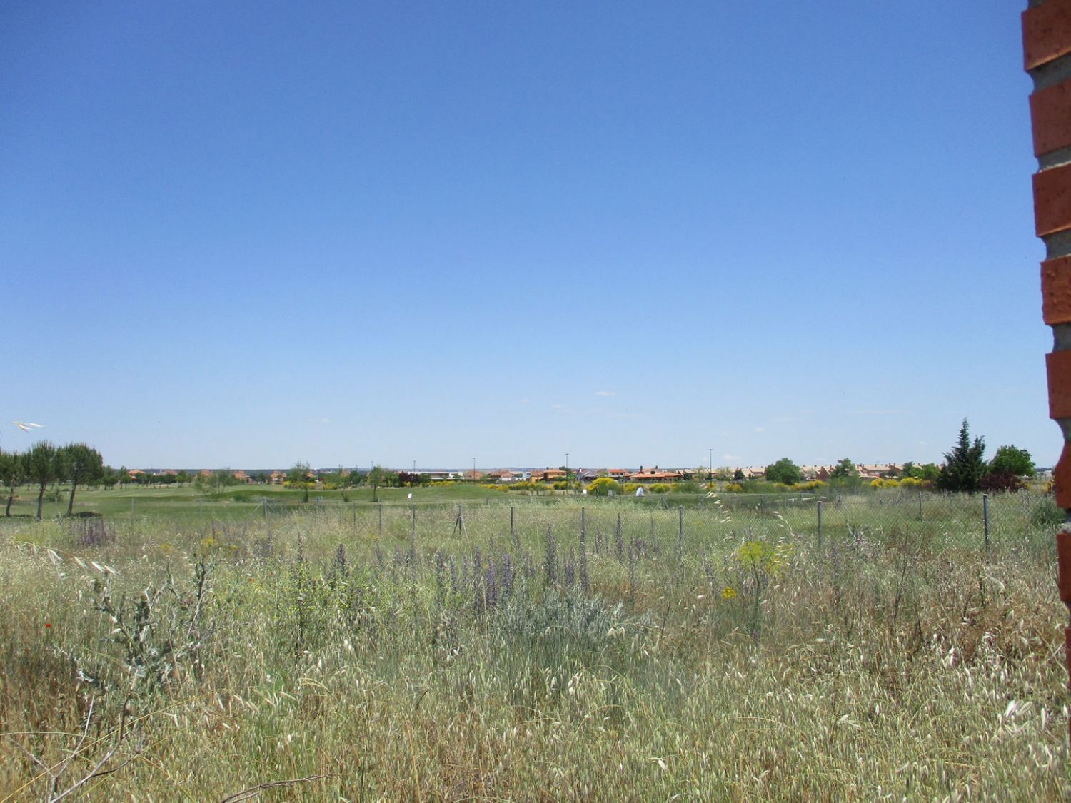 Fincas y solares-Venta-Aldeamayor de San MartÃ­n-809931-Foto-5