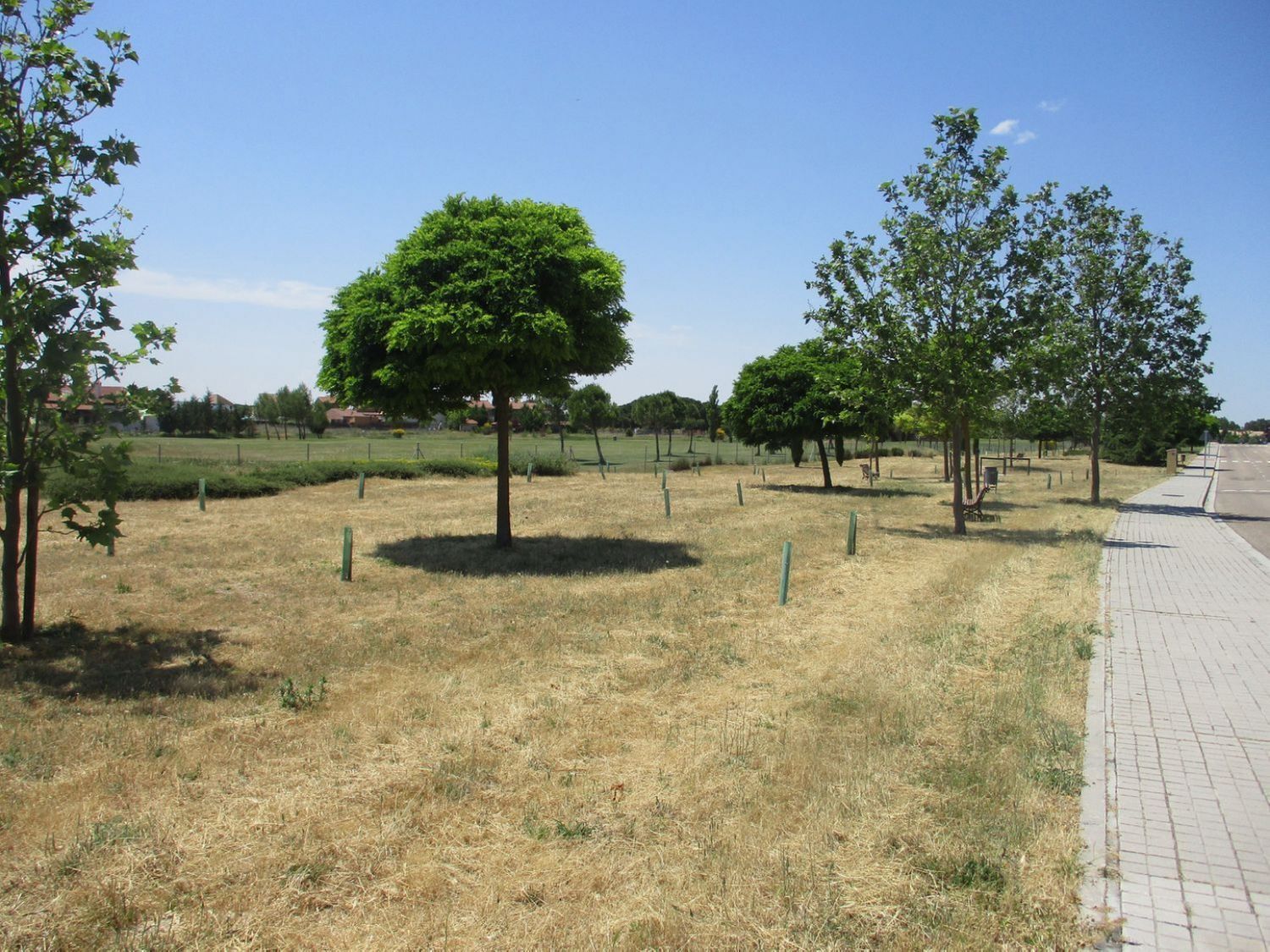 Fincas y solares-Venta-Aldeamayor de San MartÃ­n-809931-Foto-6