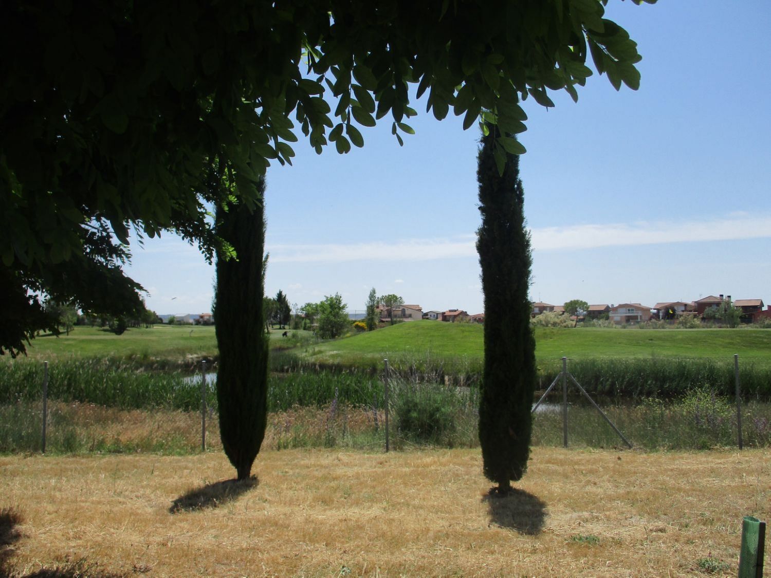 Fincas y solares-Venta-Aldeamayor de San MartÃ­n-809931-Foto-9