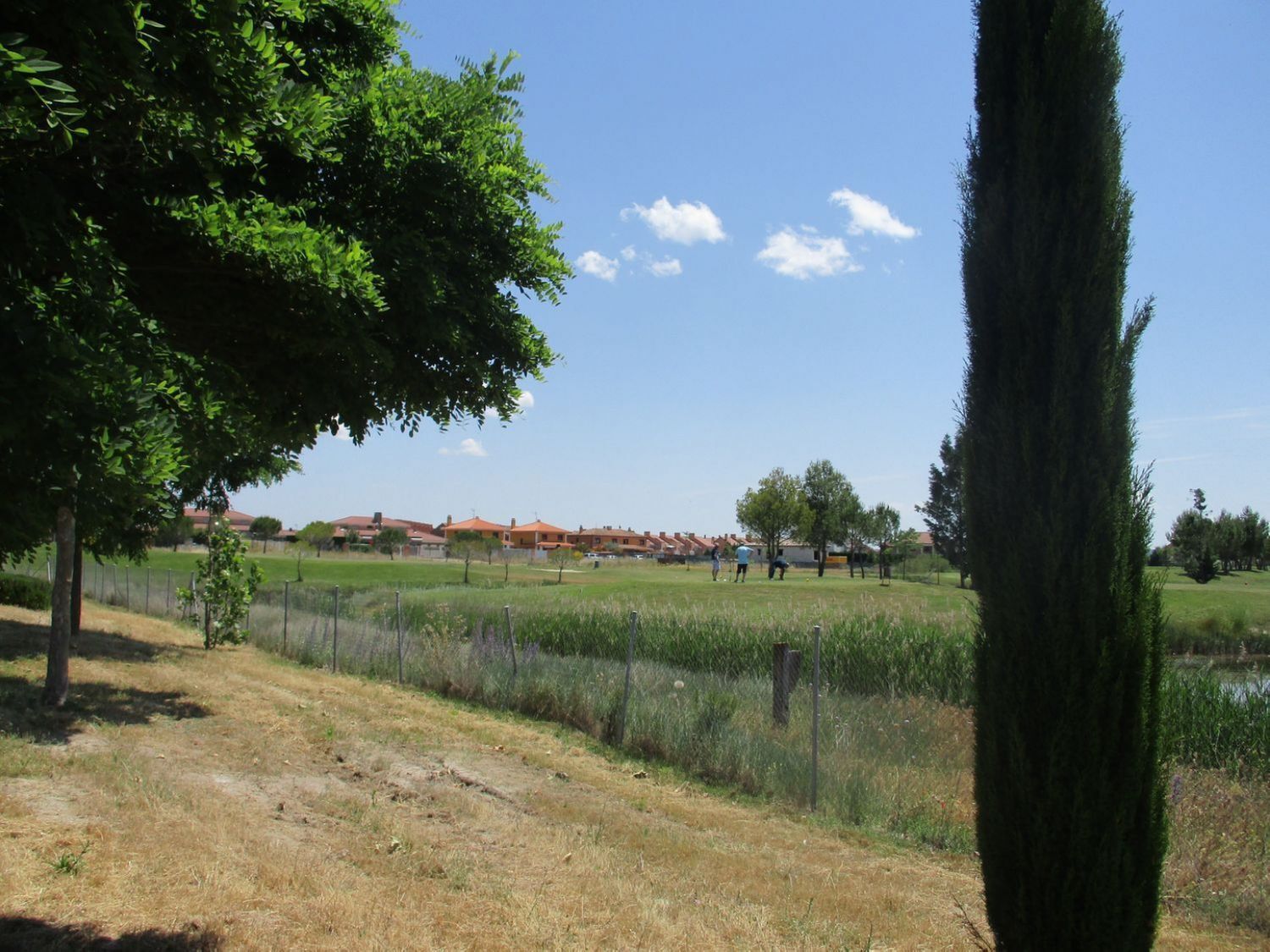 Fincas y solares-Venta-Aldeamayor de San MartÃ­n-809931-Foto-11