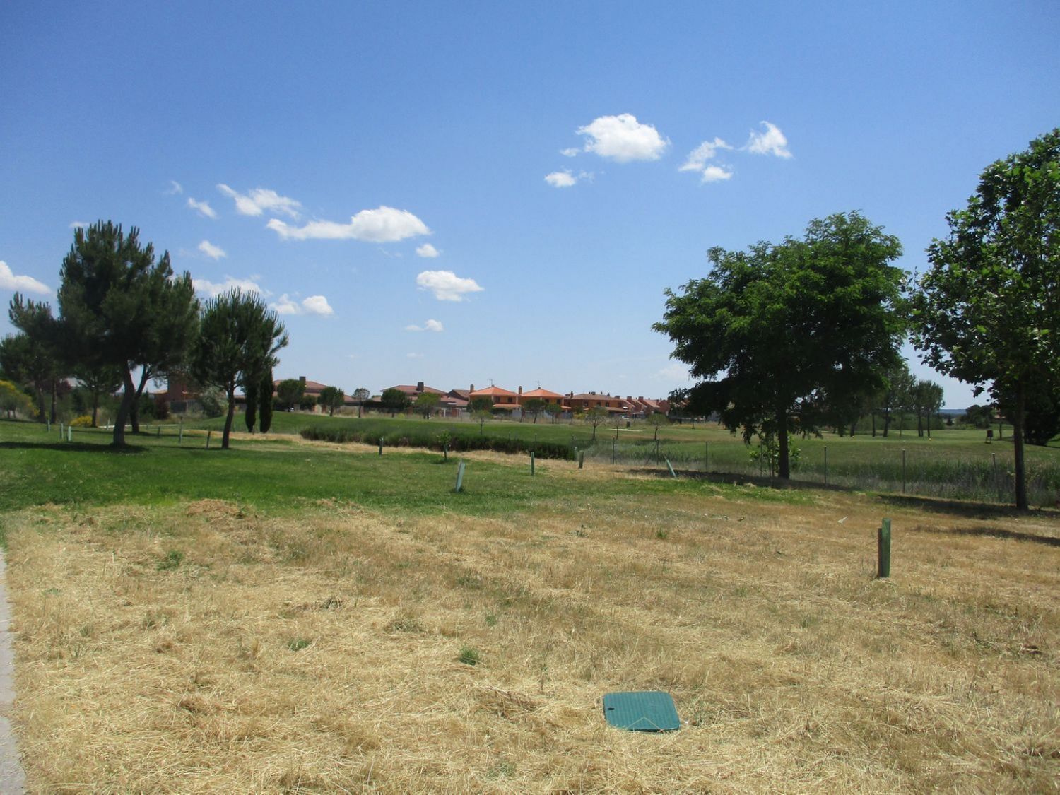 Fincas y solares-Venta-Aldeamayor de San MartÃ­n-809931-Foto-7