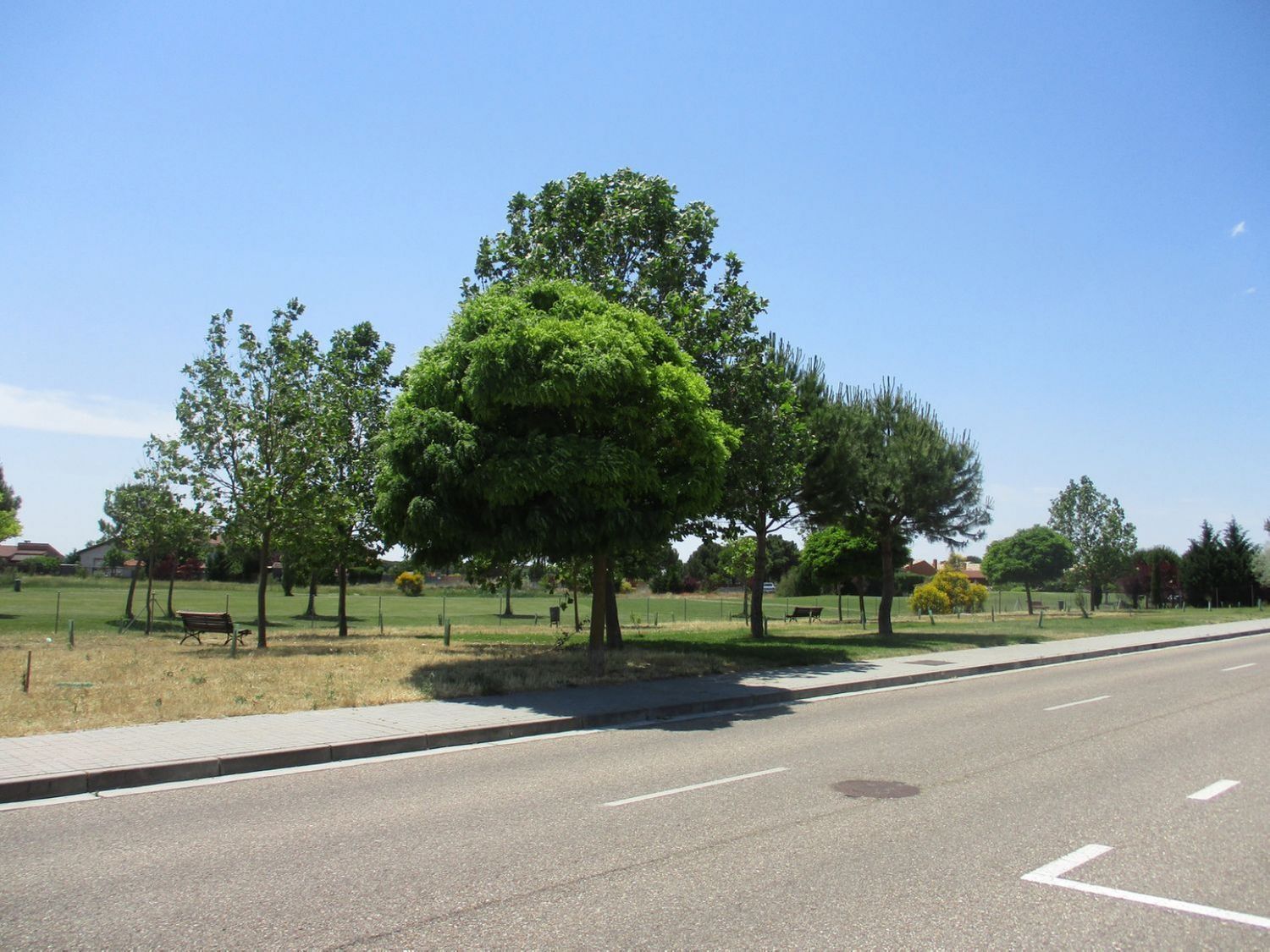 Fincas y solares-Venta-Aldeamayor de San MartÃ­n-809931-Foto-15