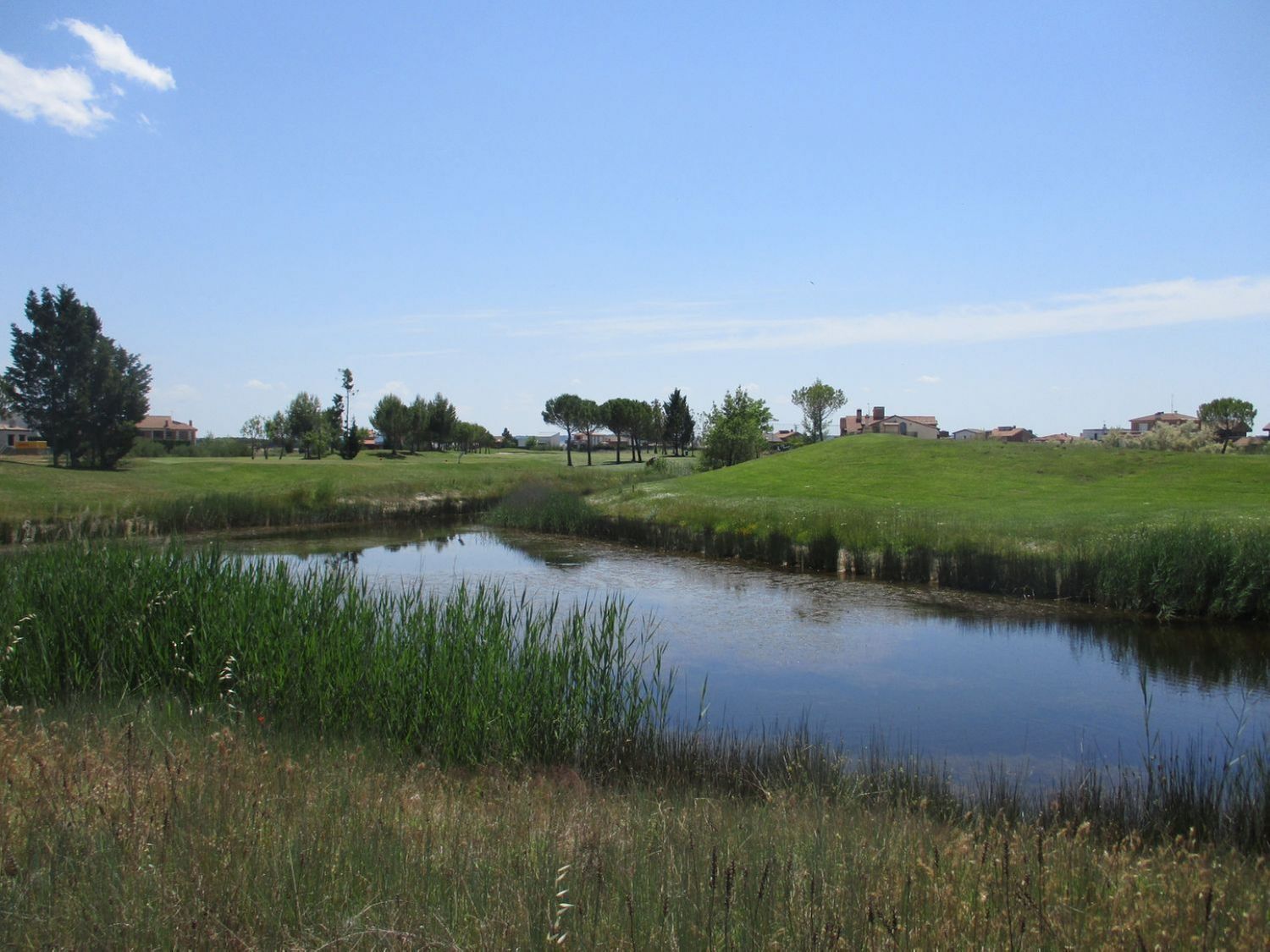 Fincas y solares-Venta-Aldeamayor de San MartÃ­n-809931-Foto-13