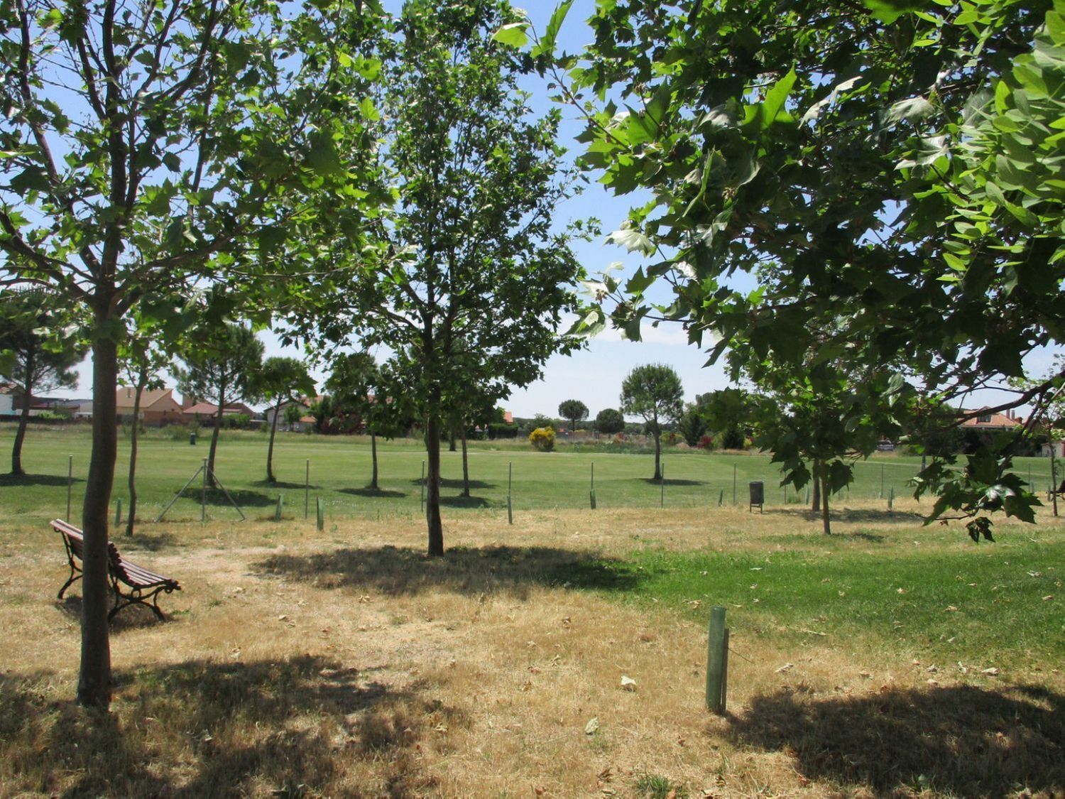 Fincas y solares-Venta-Aldeamayor de San MartÃ­n-809931-Foto-16