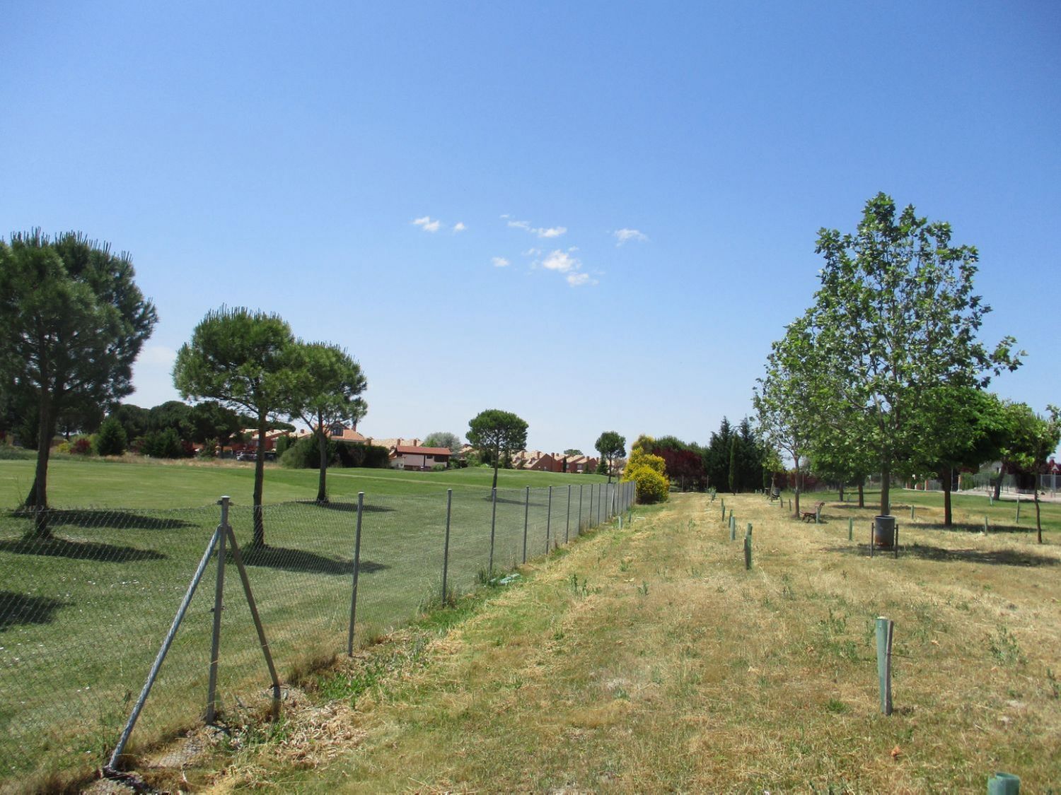 Fincas y solares-Venta-Aldeamayor de San MartÃ­n-809931-Foto-20