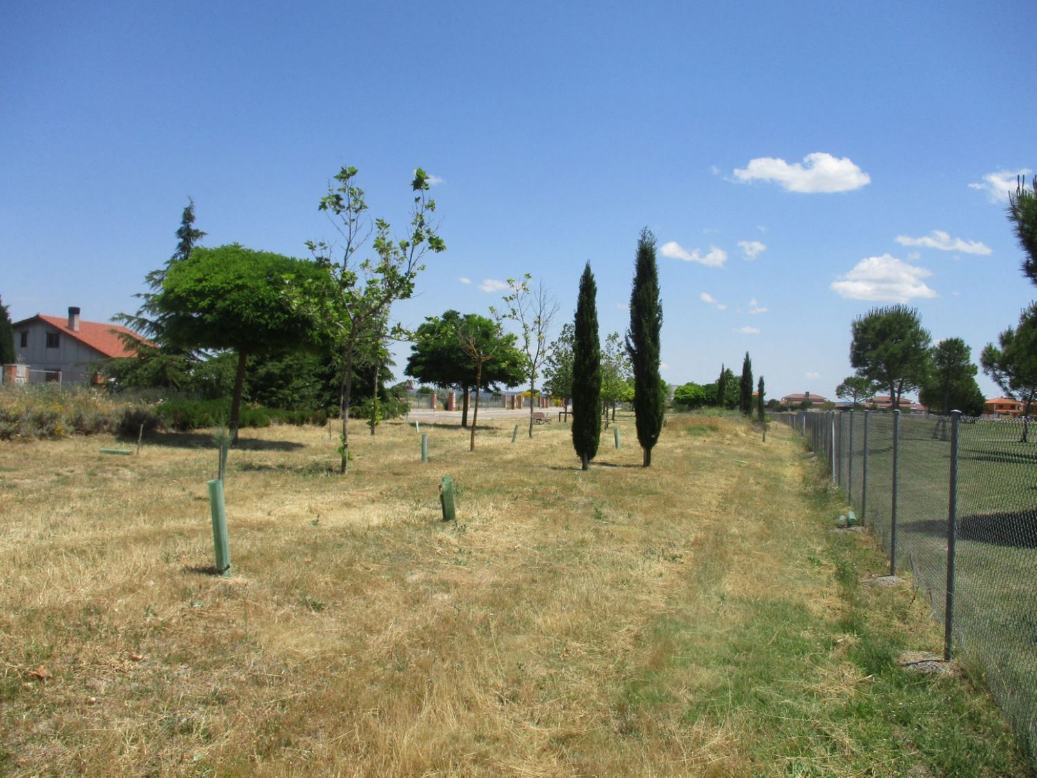 Fincas y solares-Venta-Aldeamayor de San MartÃ­n-809931-Foto-22