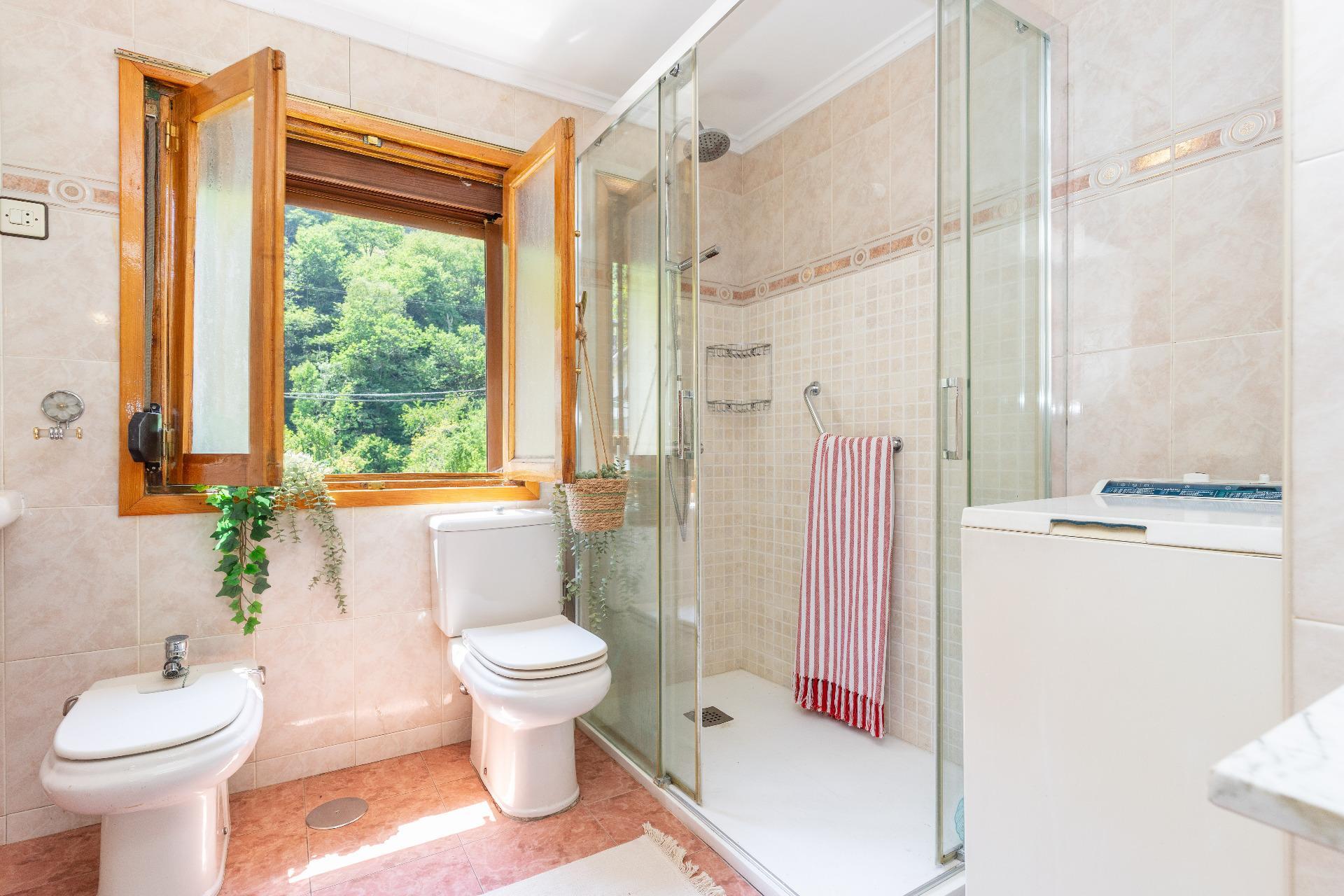 Casas o chalets-Venta-Mieres-1831752-Foto-13