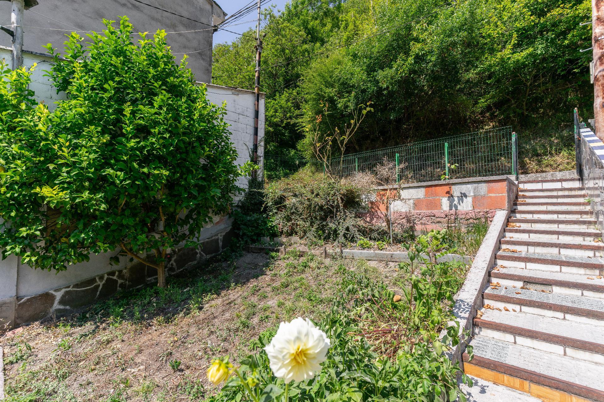 Casas o chalets-Venta-Mieres-1831752-Foto-21