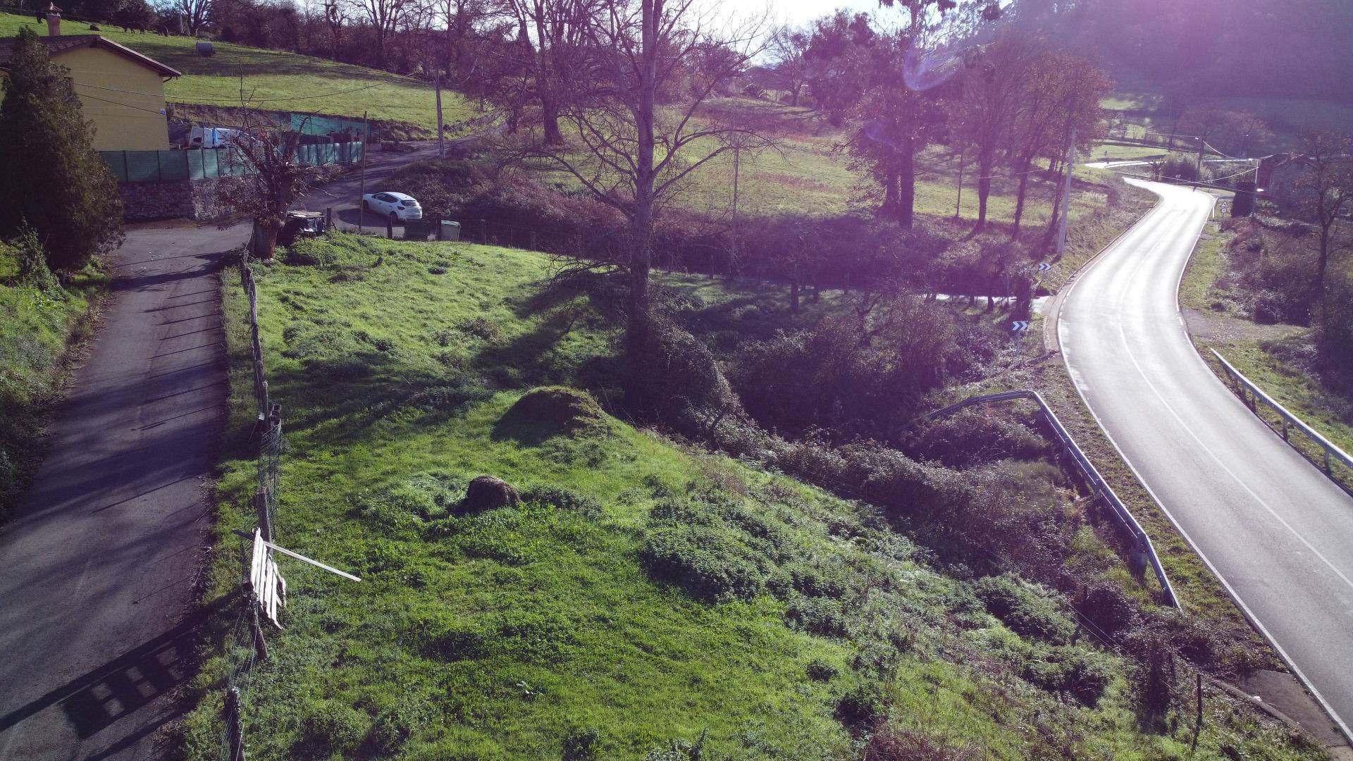 Fincas y solares-Venta-Las Regueras-2011001-Foto-8