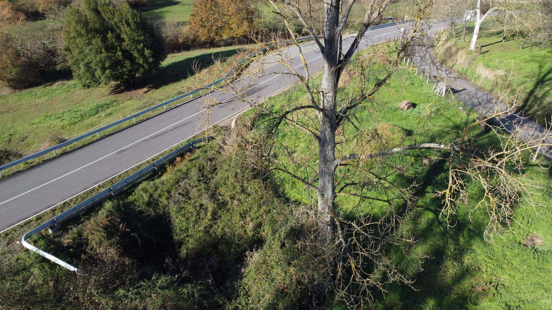 Fincas y solares-Venta-Las Regueras-2011001-Foto-25