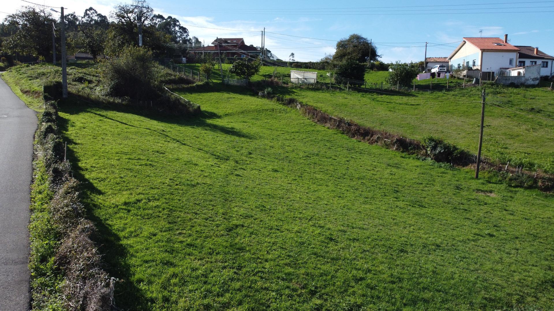 Fincas y solares-Venta-Siero-1941941-Foto-5