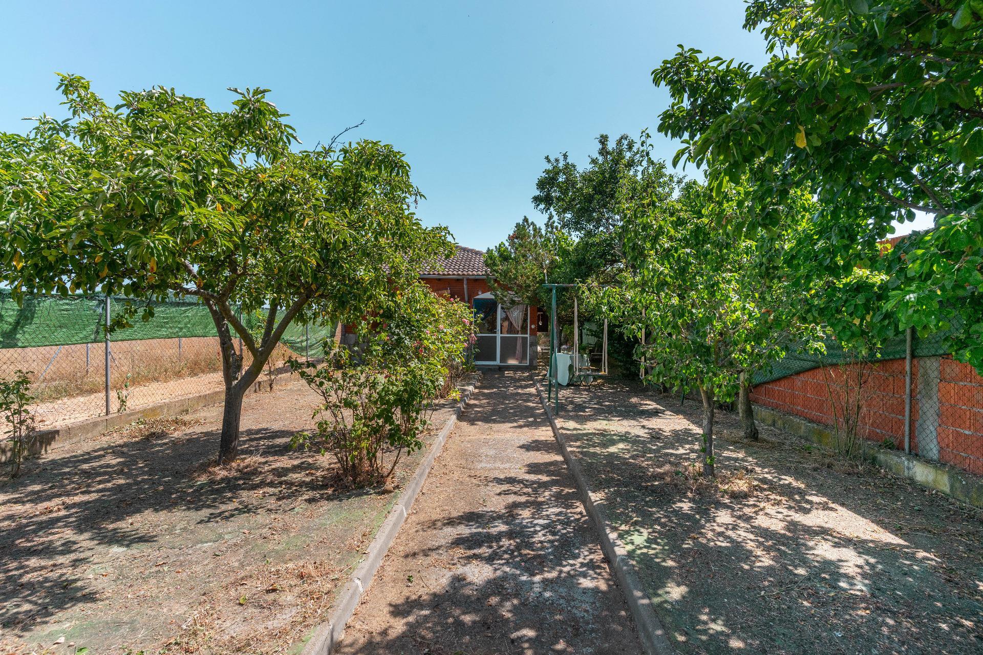 Casas o chalets-Venta-La BaÃ±eza-1396661-Foto-36