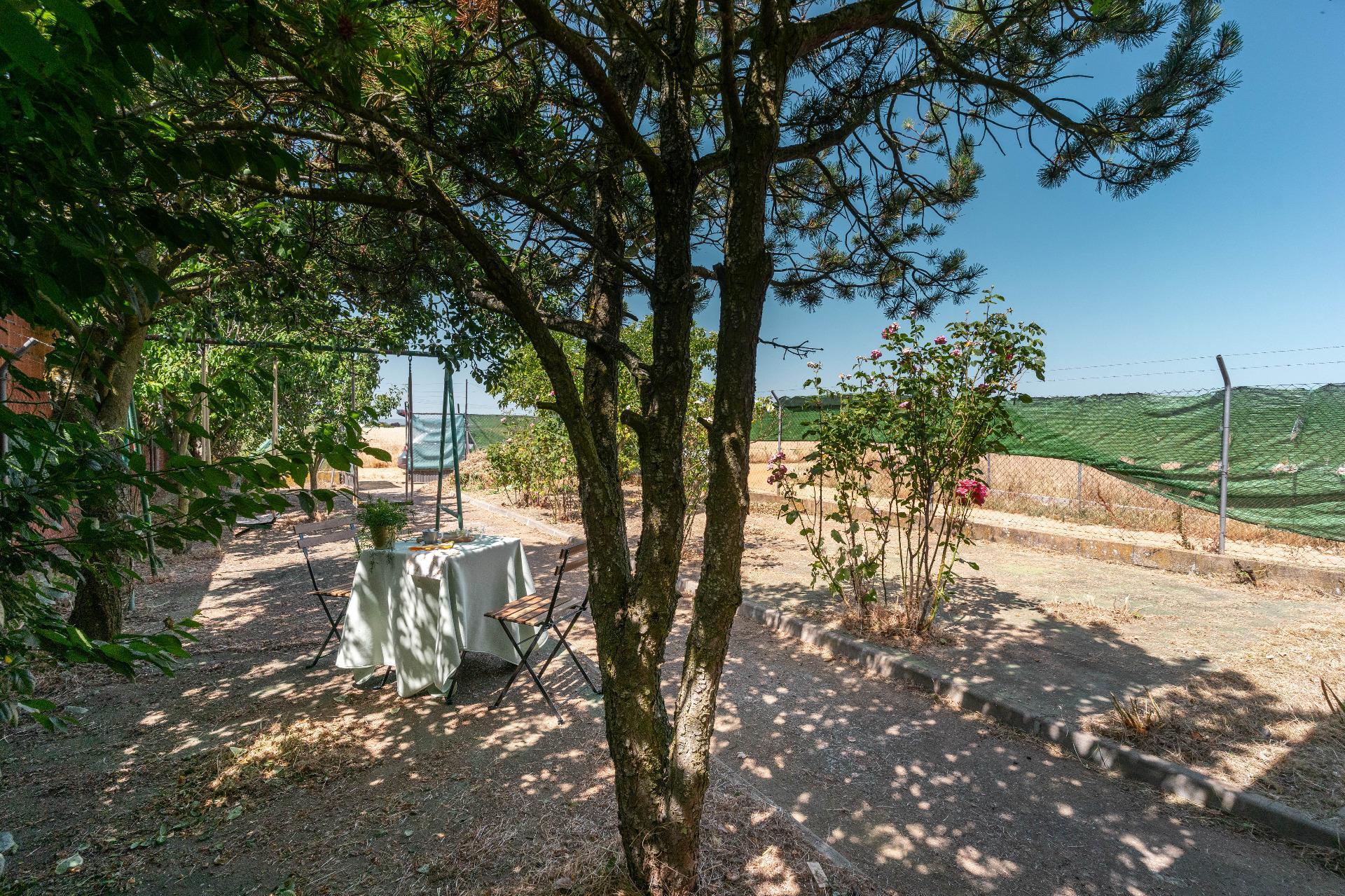 Casas o chalets-Venta-La BaÃ±eza-1396661-Foto-38