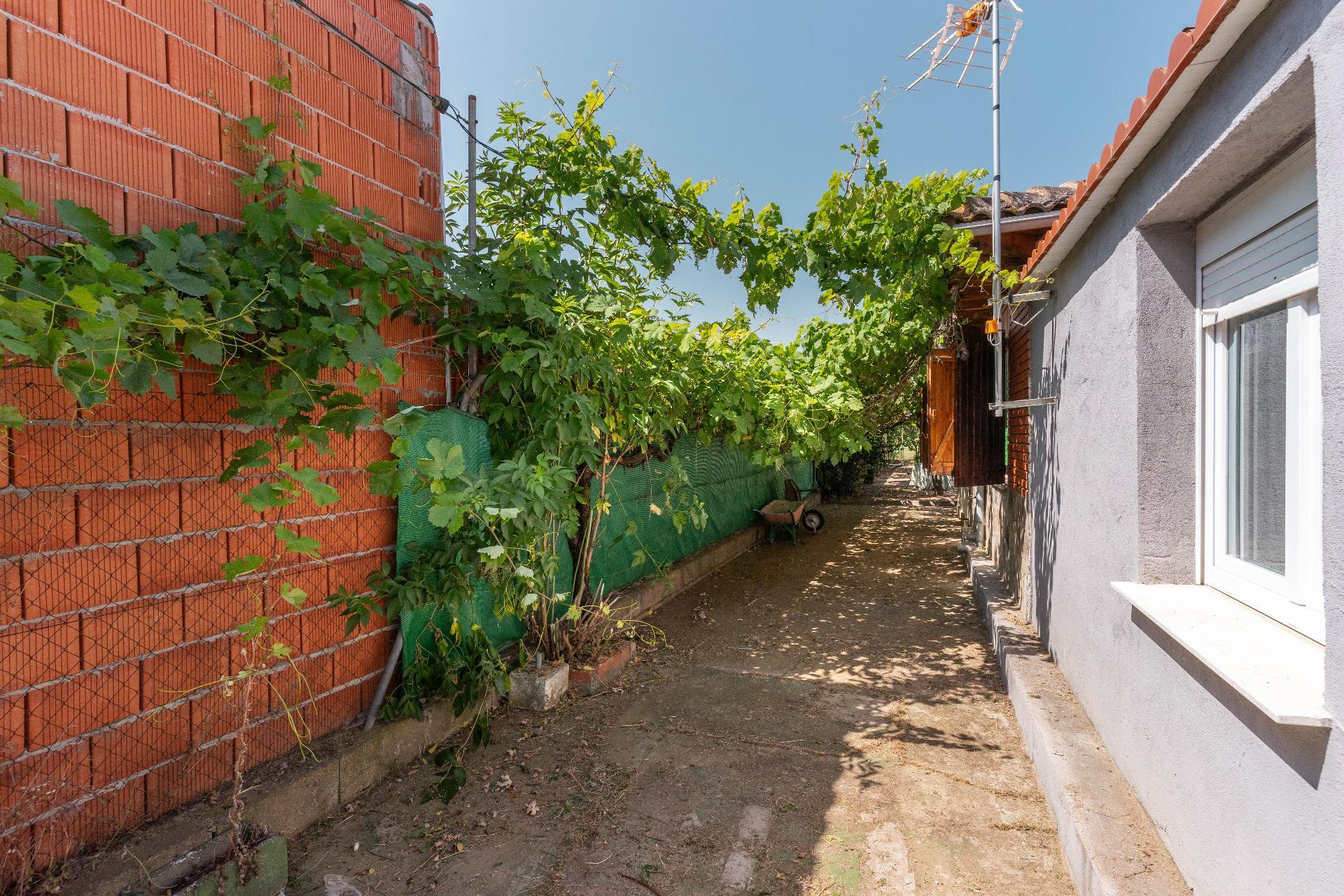 Casas o chalets-Venta-La BaÃ±eza-1396661-Foto-43