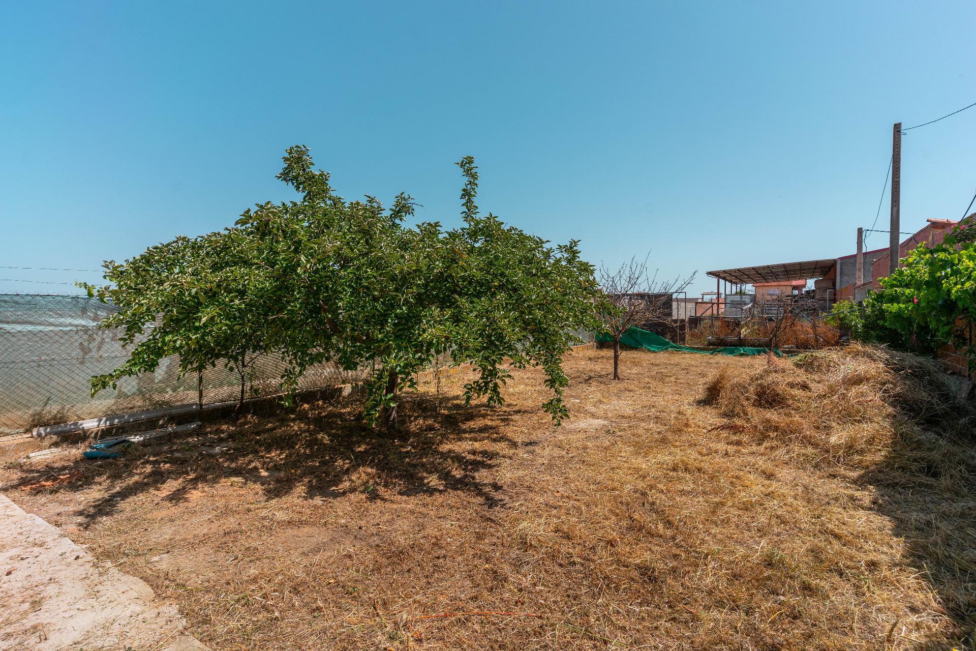 Casas o chalets-Venta-La BaÃ±eza-1396661-Foto-45