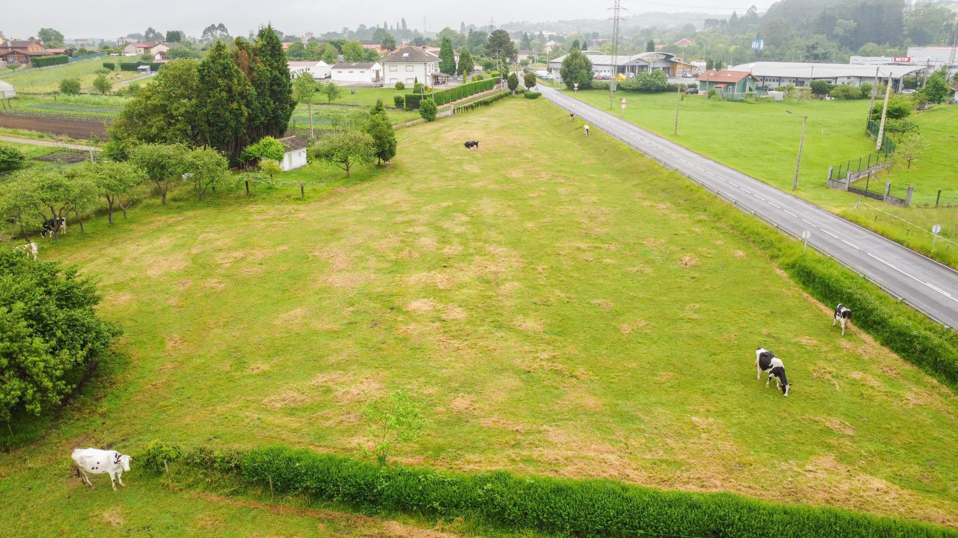 Terreno urbanizable en Pruvia para 4 viviendas unifamiliares. Zona estratégica en Asturias