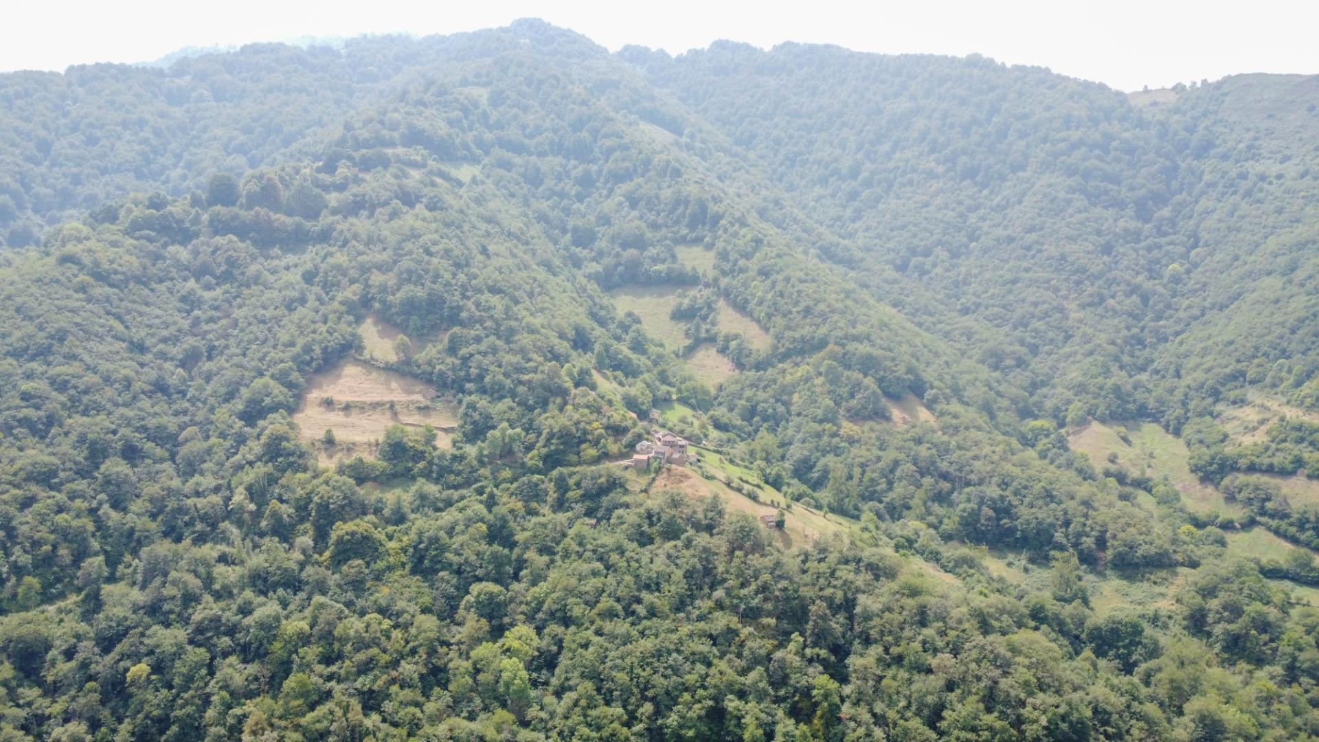 Casas o chalets-Venta-Aller-1867096-Foto-21